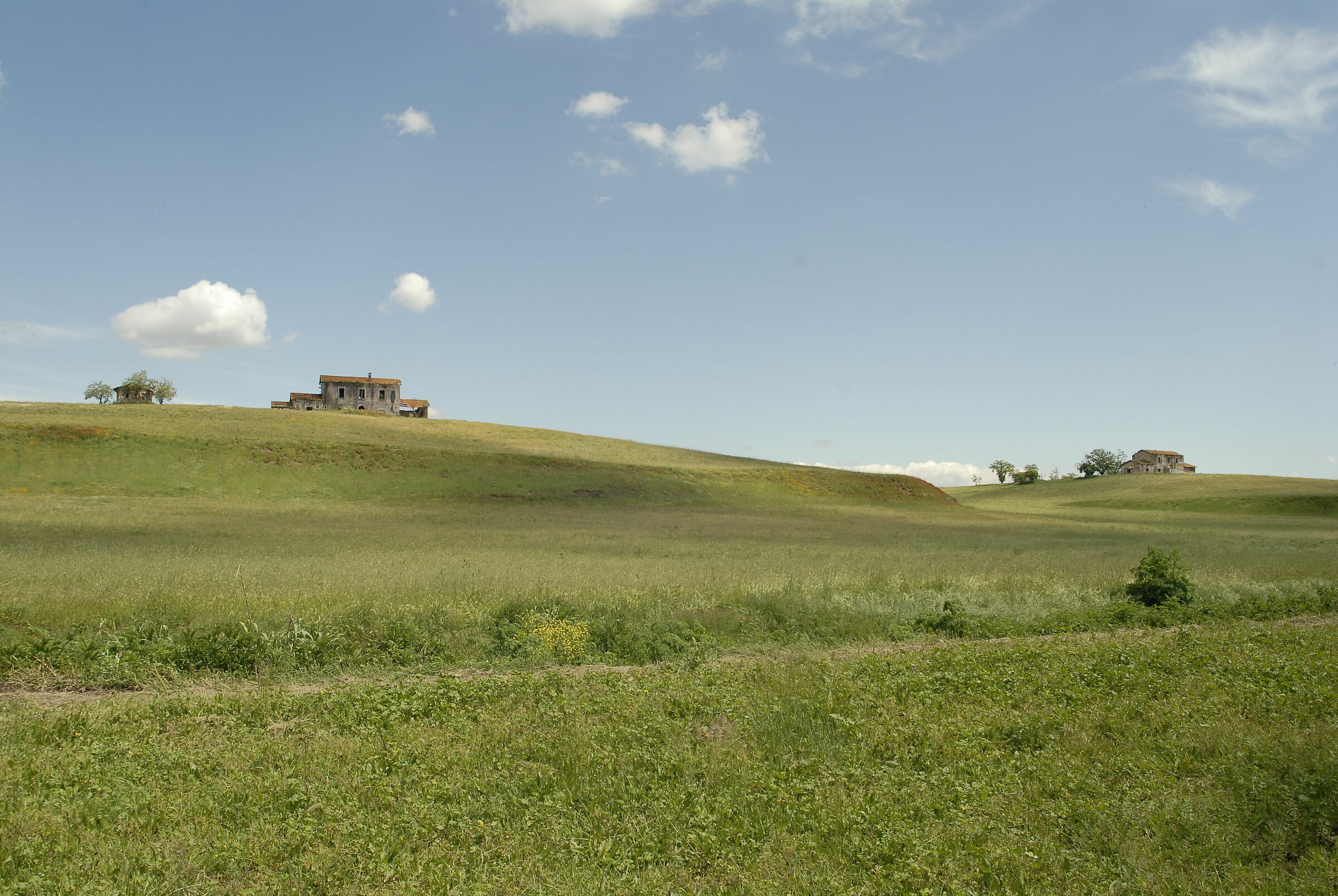 Houses behind house jpg on camera