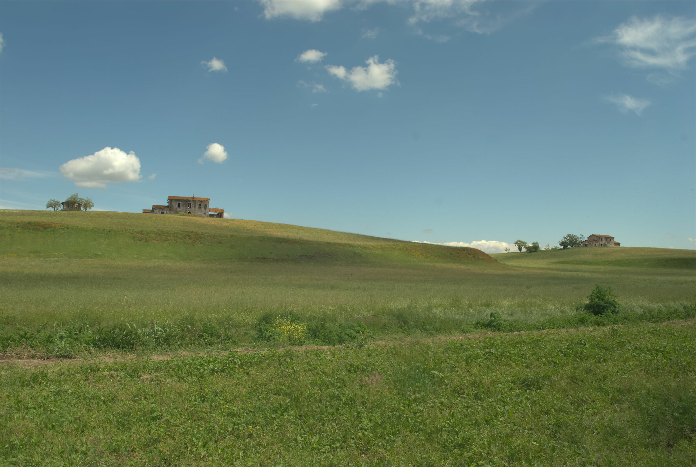 casali dietro casa darktable workfolw micio