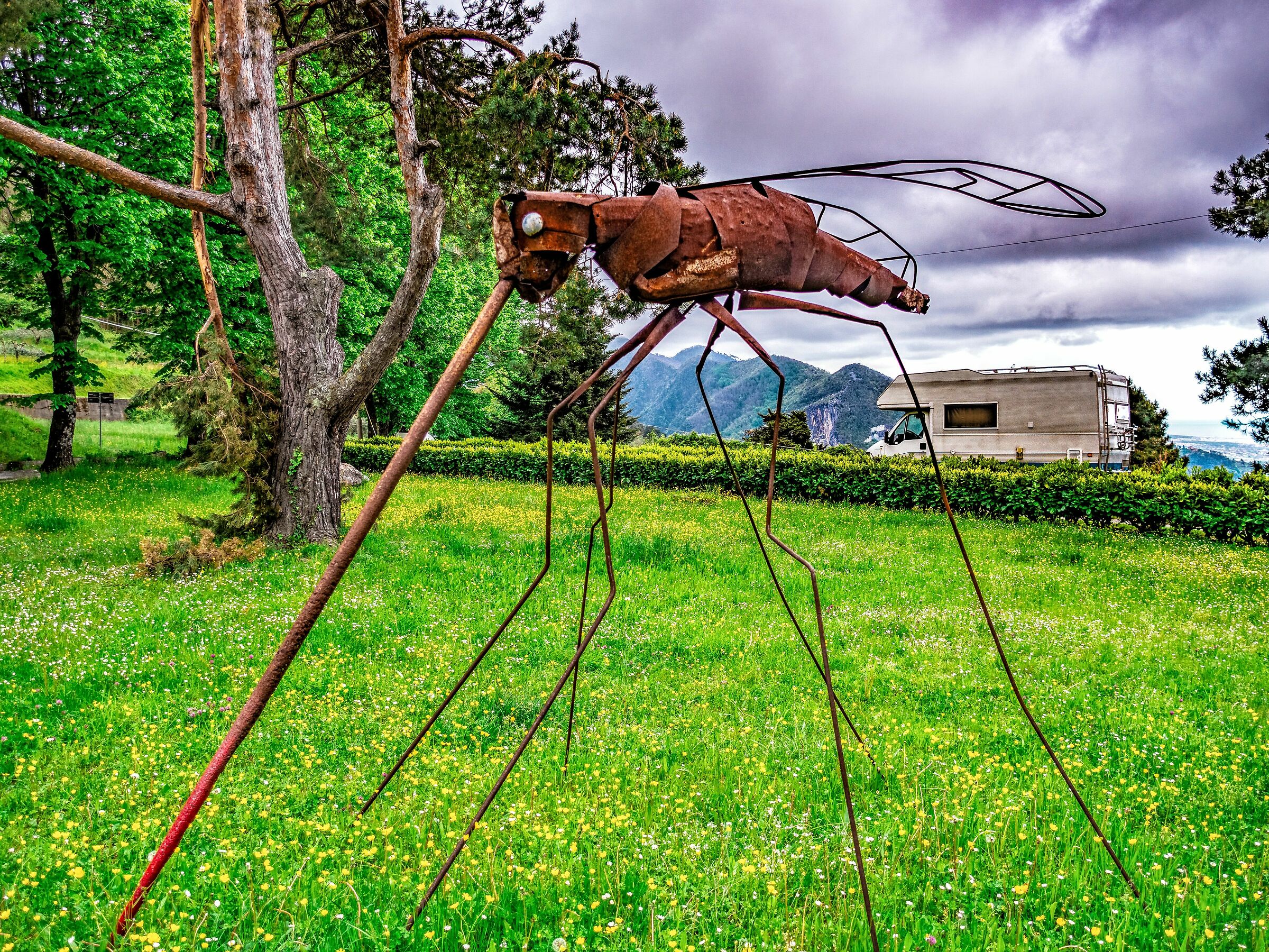 The Mosquito loc. " Azzano