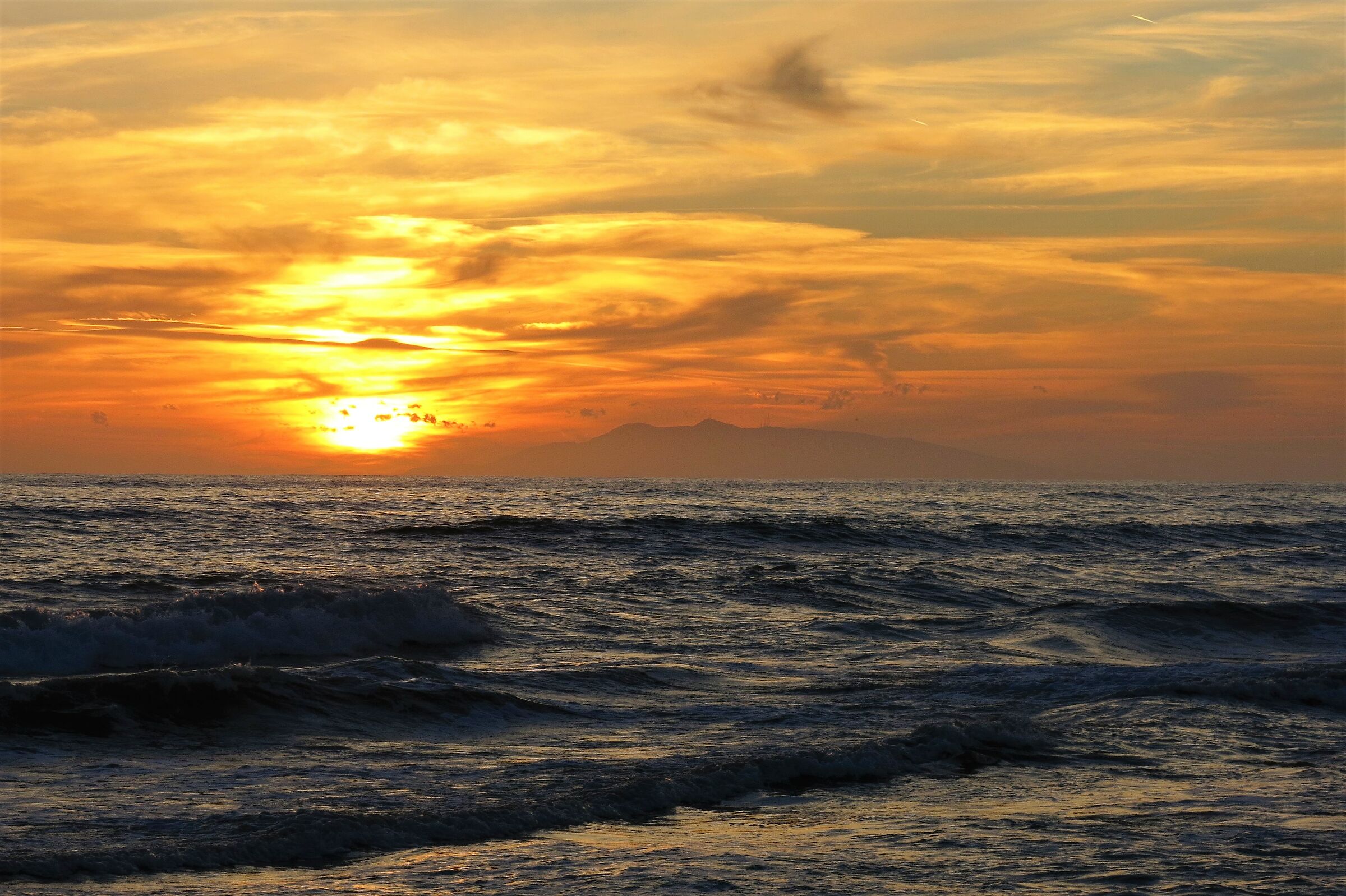 To the sea in the evening