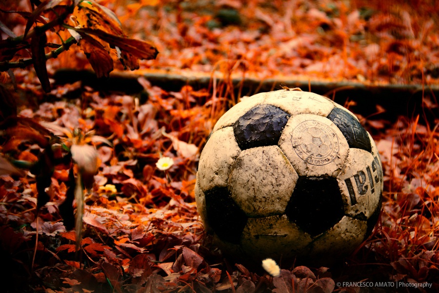 Gol d'autunno