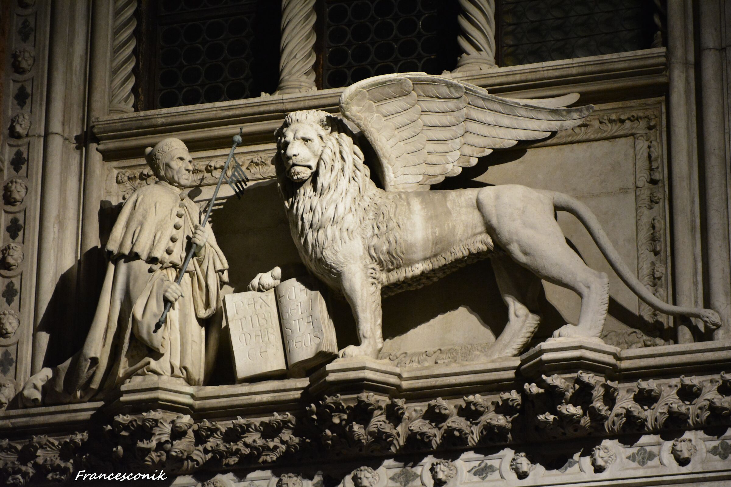 THE Doge and The Lion