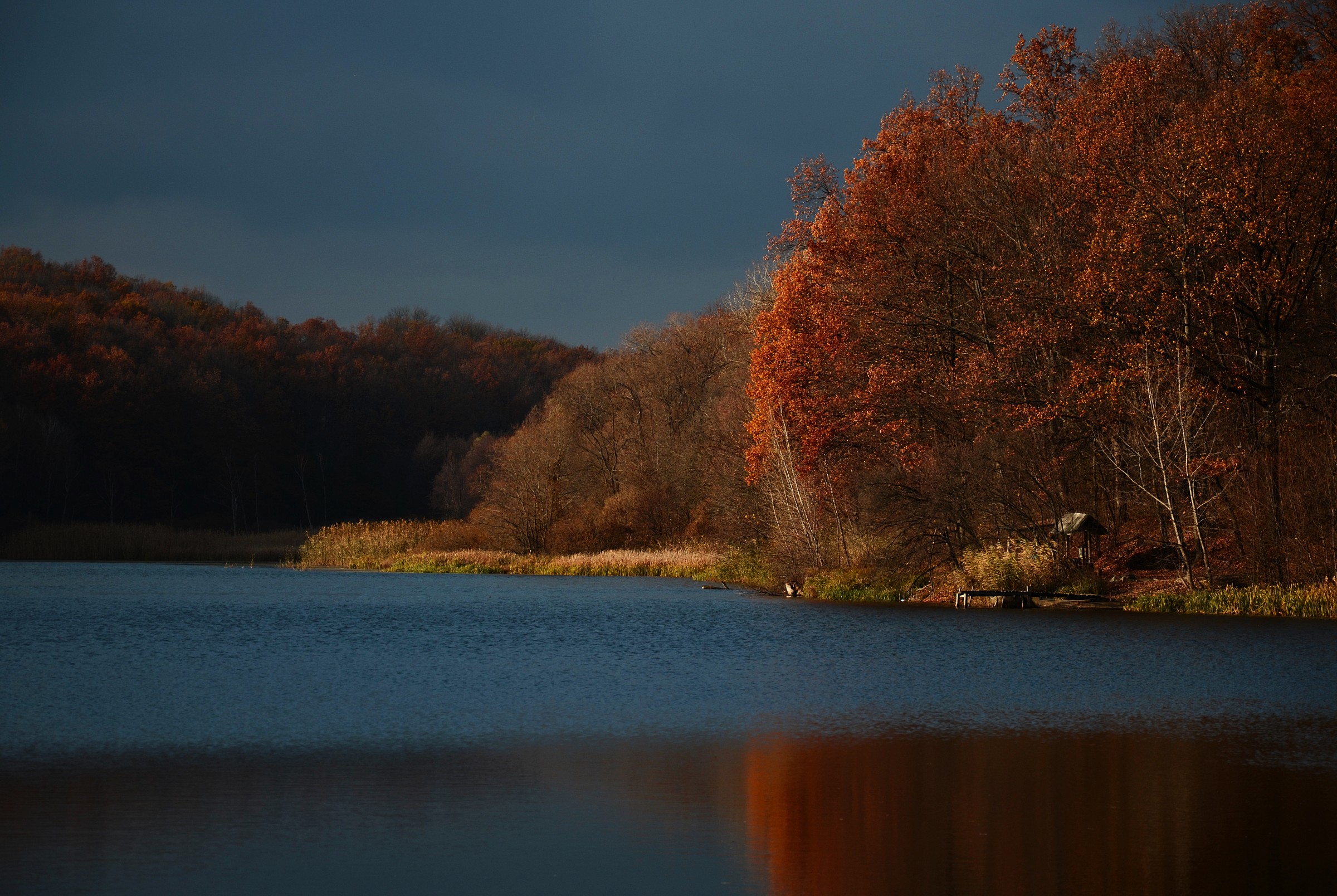 Searching for Wolves