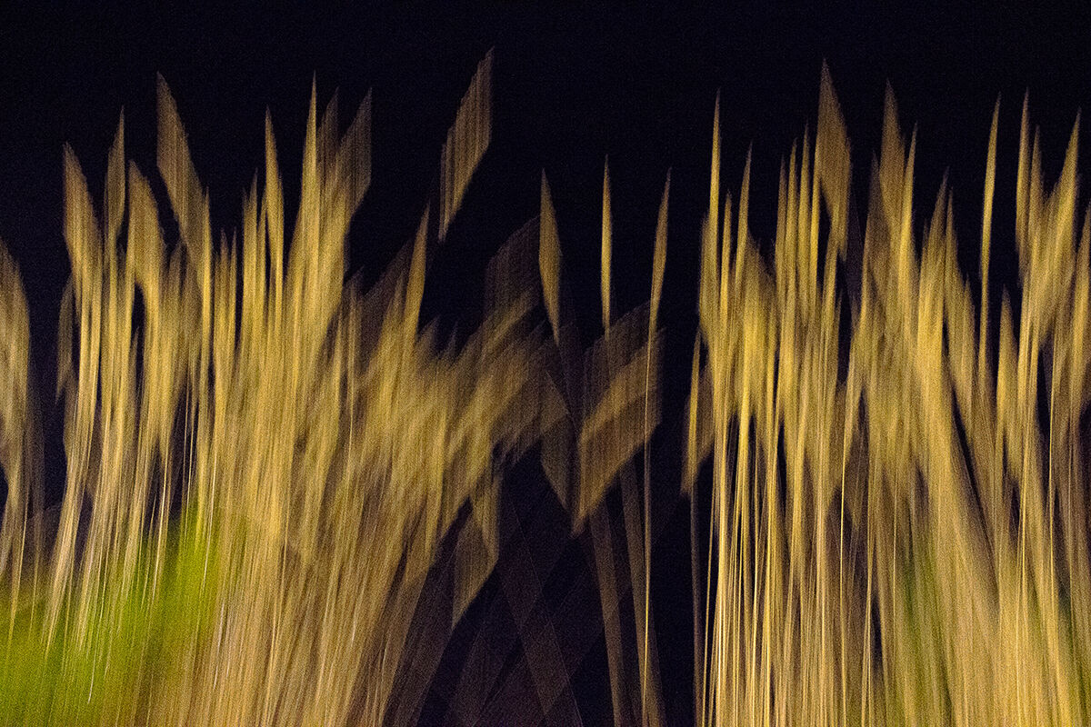 ...in una notte di mezza estate....a Venezia