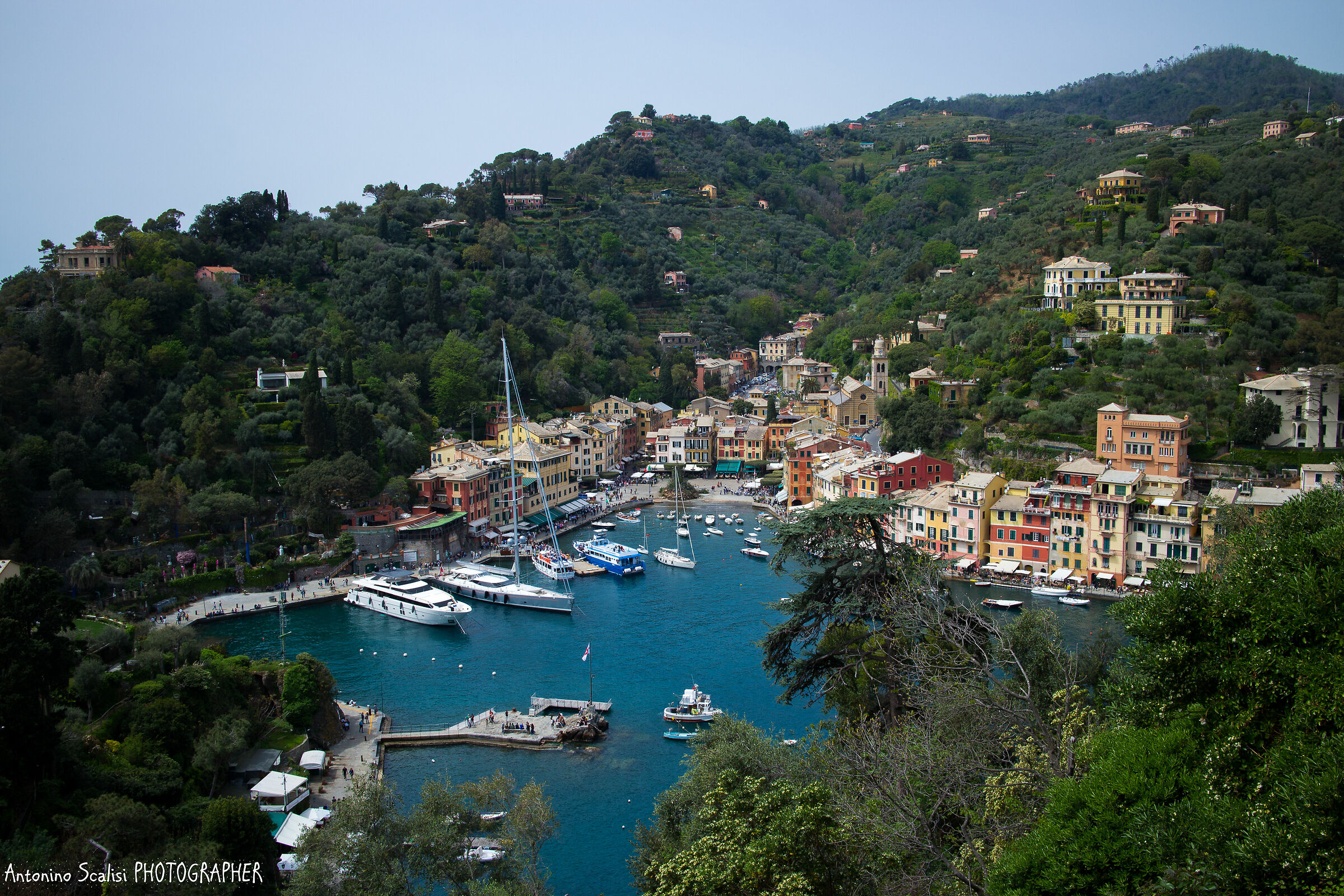 Portofino veduta dall'alto