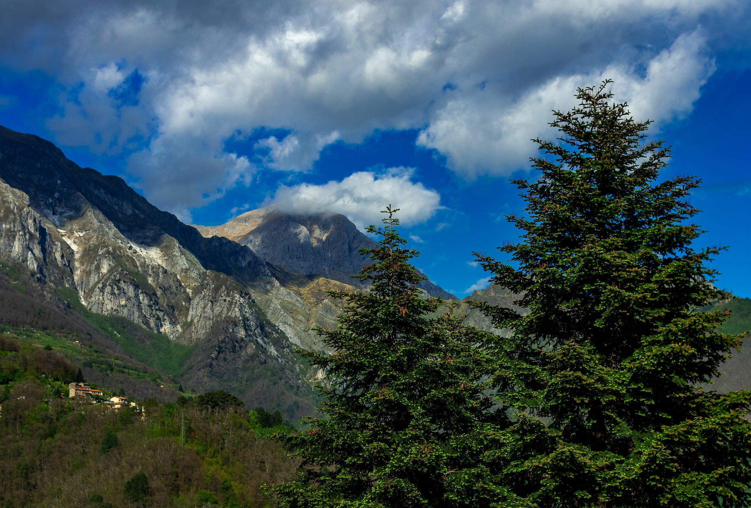 The view from my house