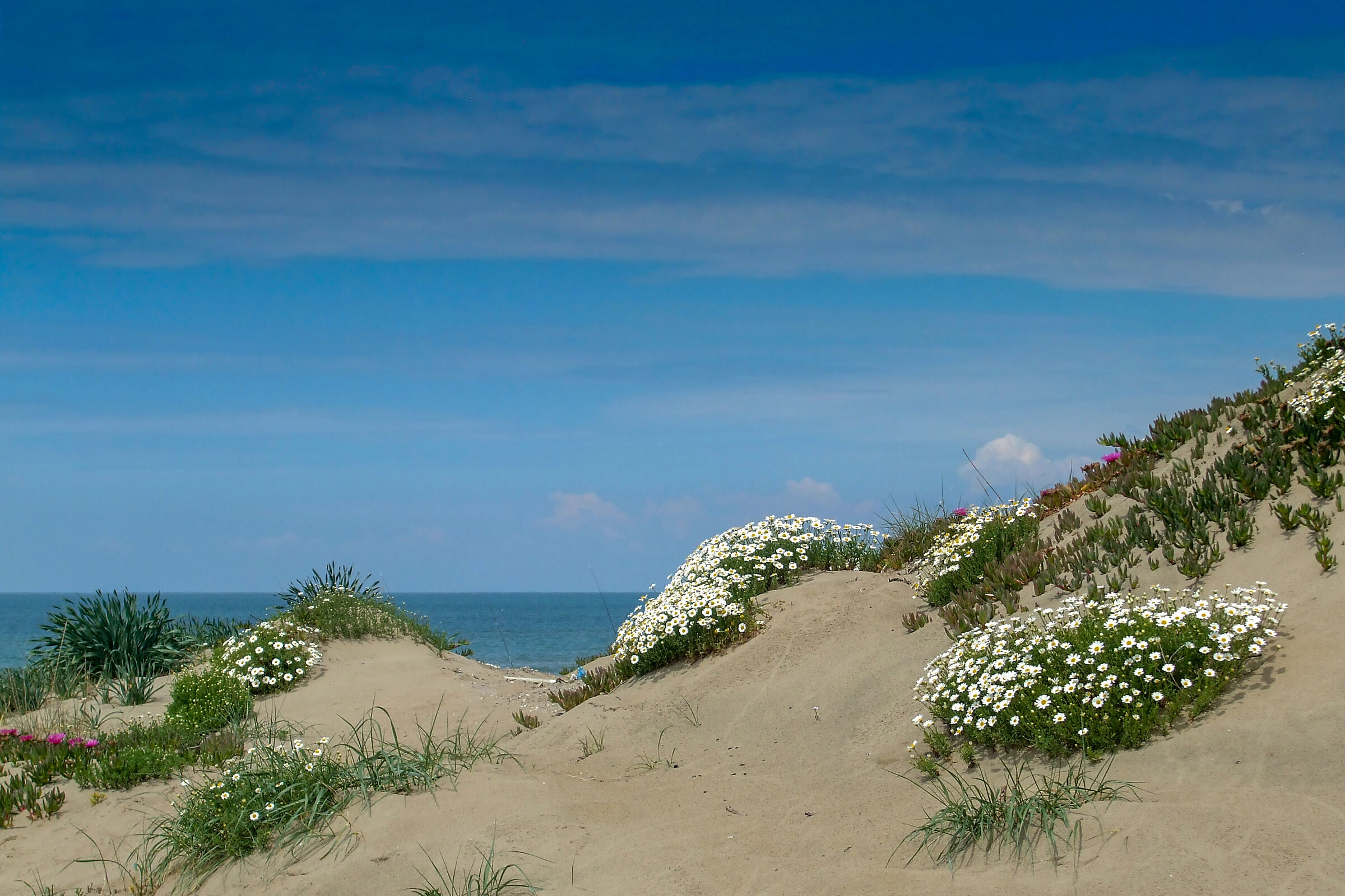 The look beyond the dunes