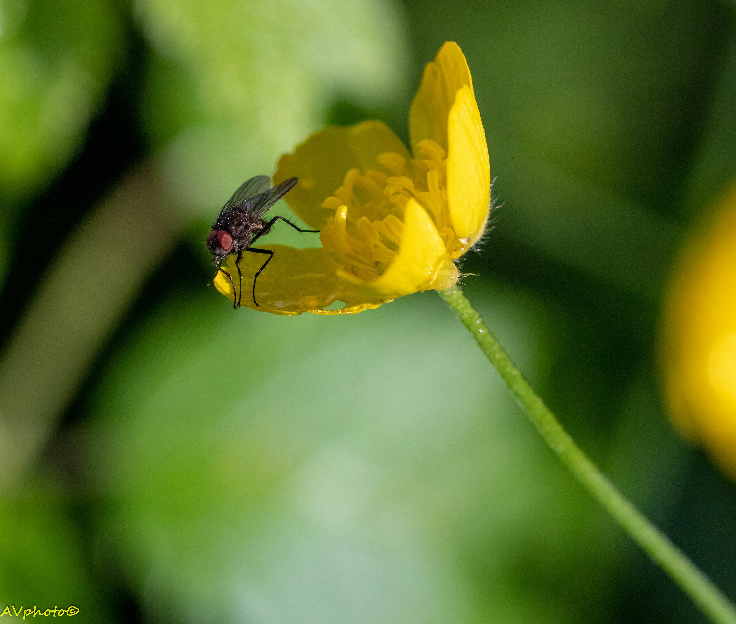 Let's go back a moment and then goooo