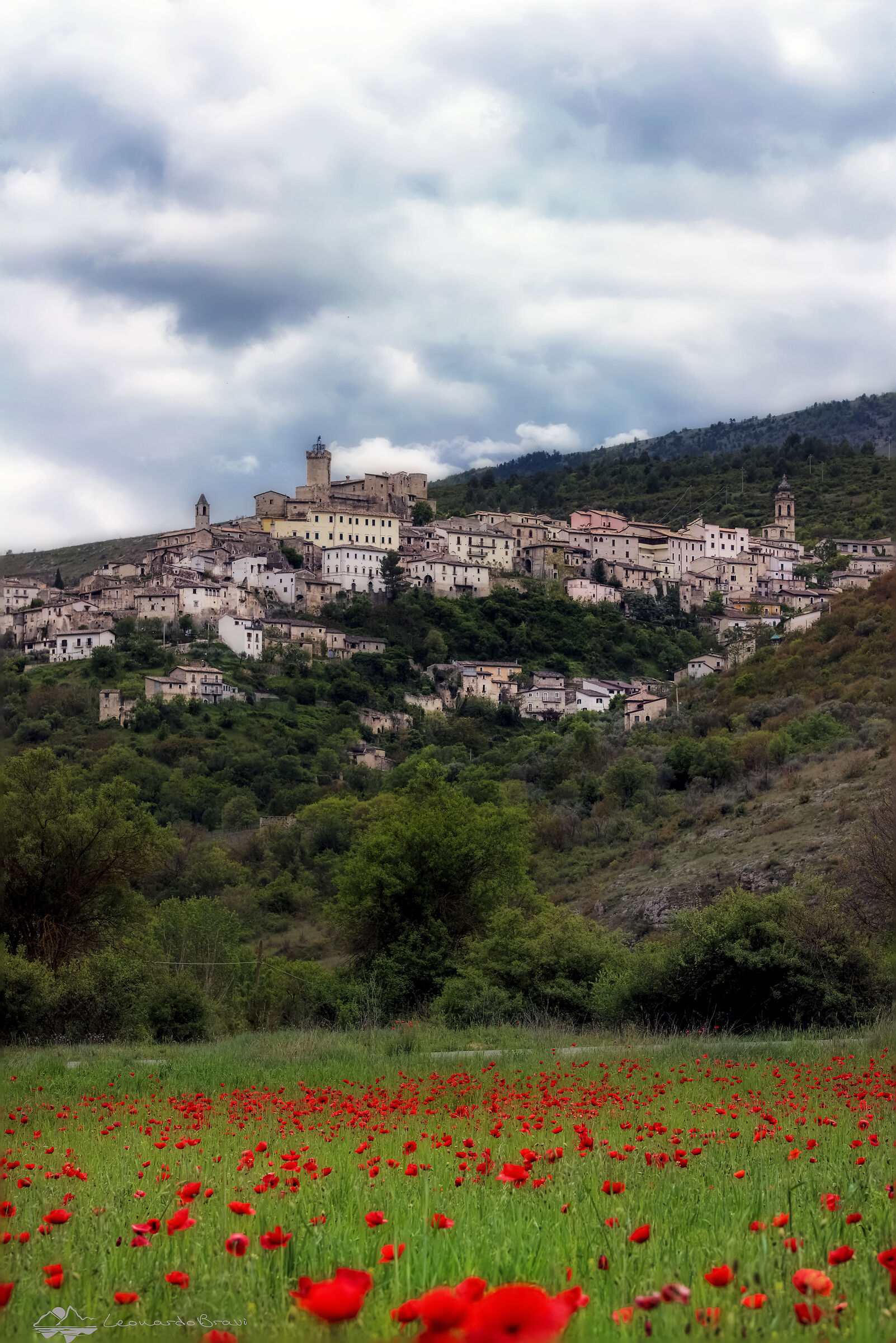 Poppies and hamlets