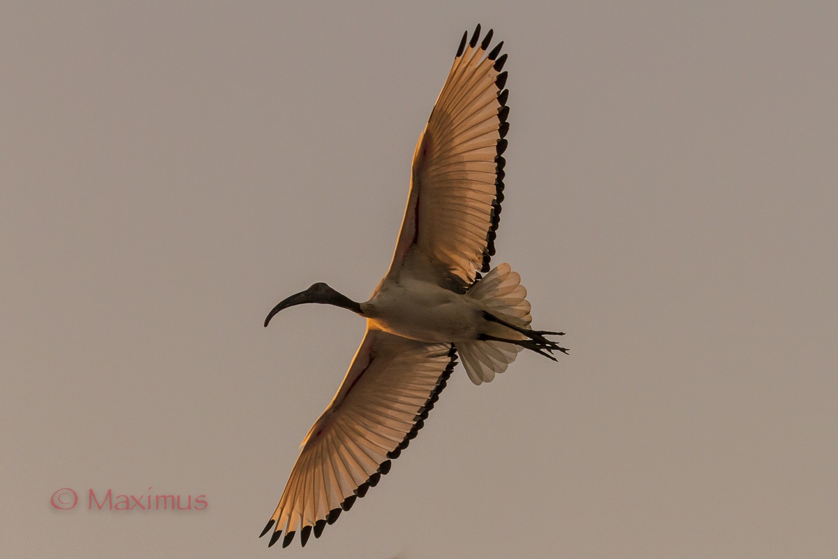 .. Sacro..  al tramonto..