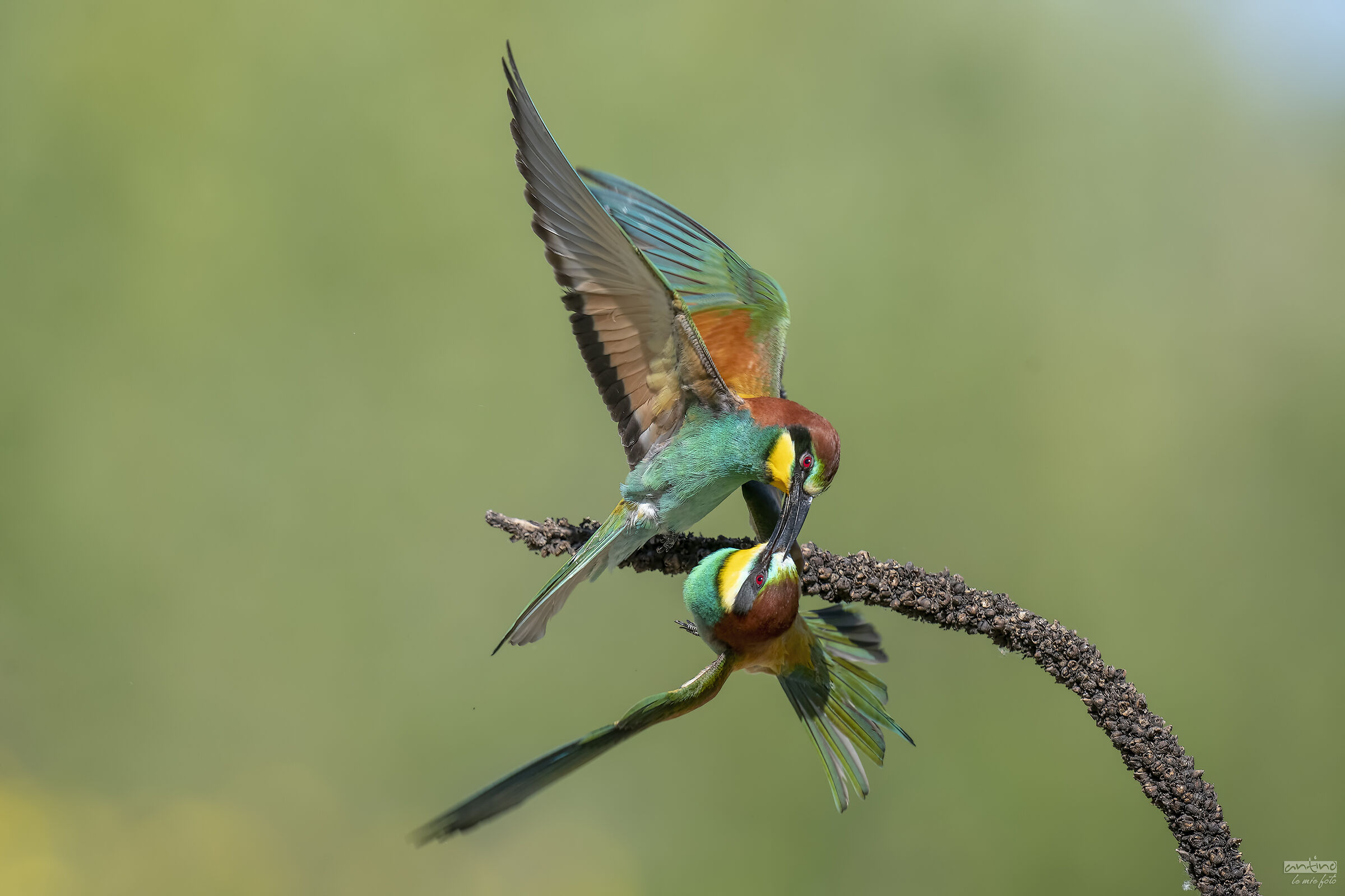 À la guerre comme à la guerre