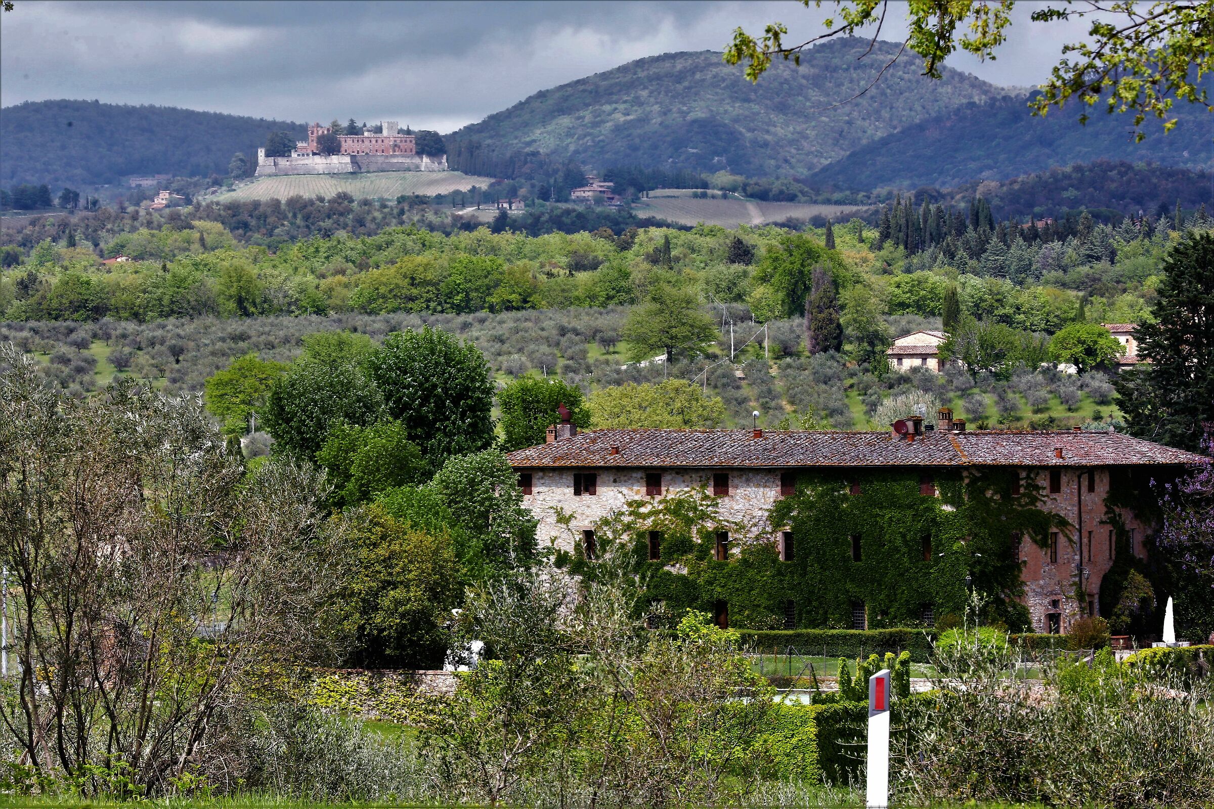 S.Felice- Bossi-Brolio il Chianti nel cuore....