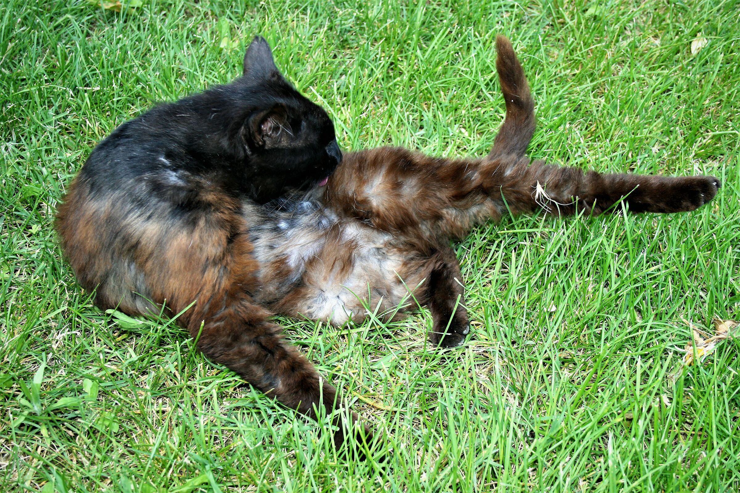 Un attimo che mi rimetto in ordine