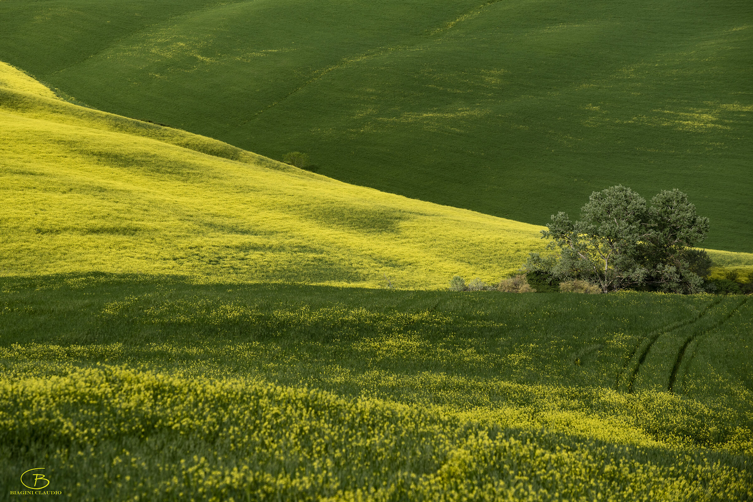 In the Crete Senesi immense colors......