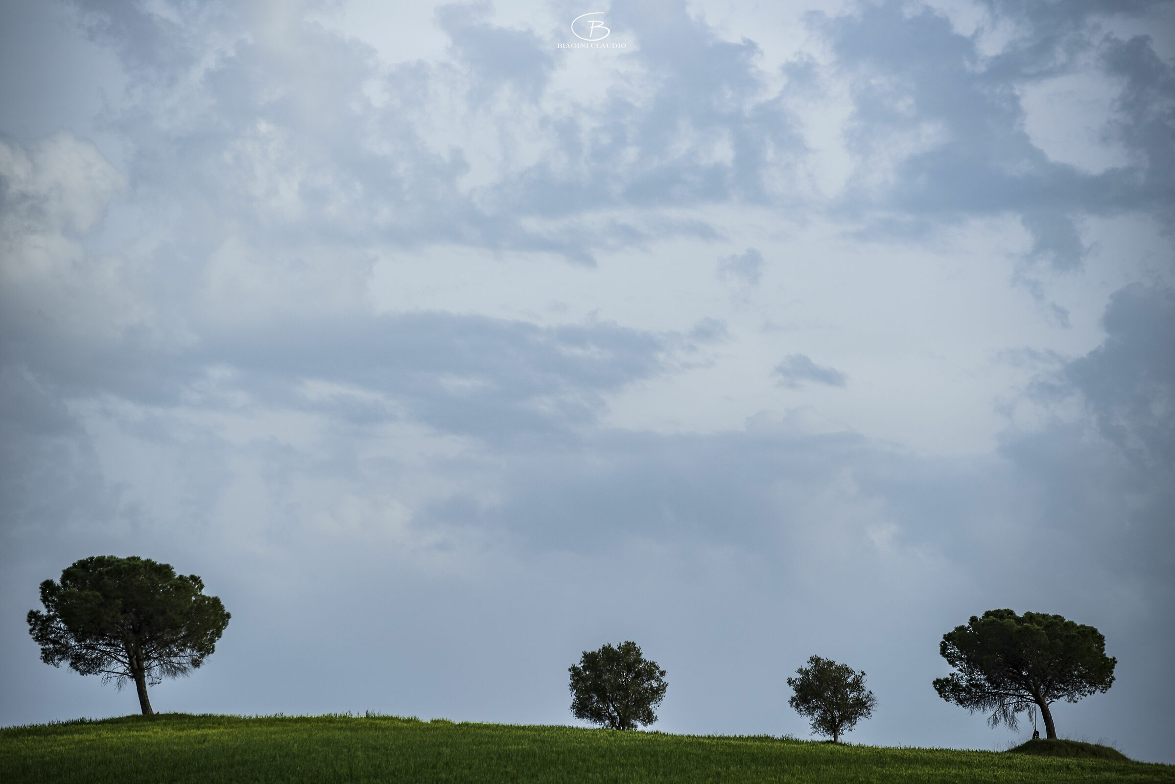Minimal trees in the immense countryside....