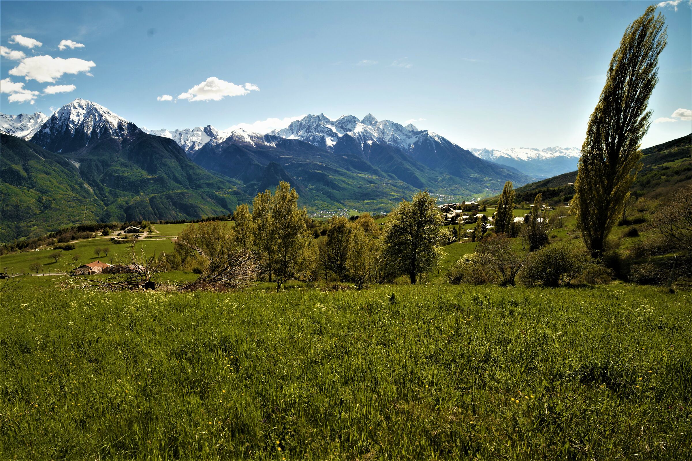 Annegando nel verde...