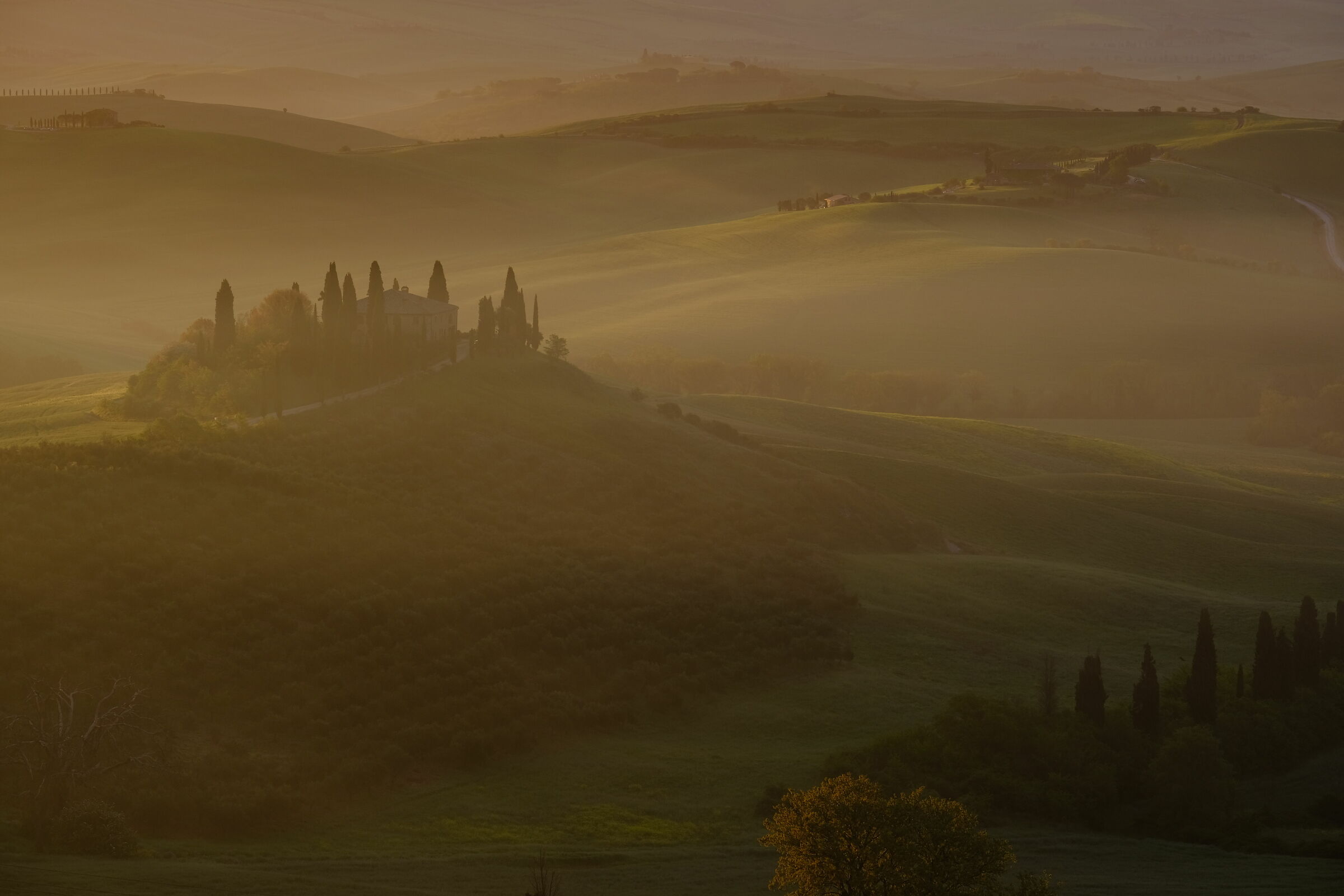 First lights at Belvedere