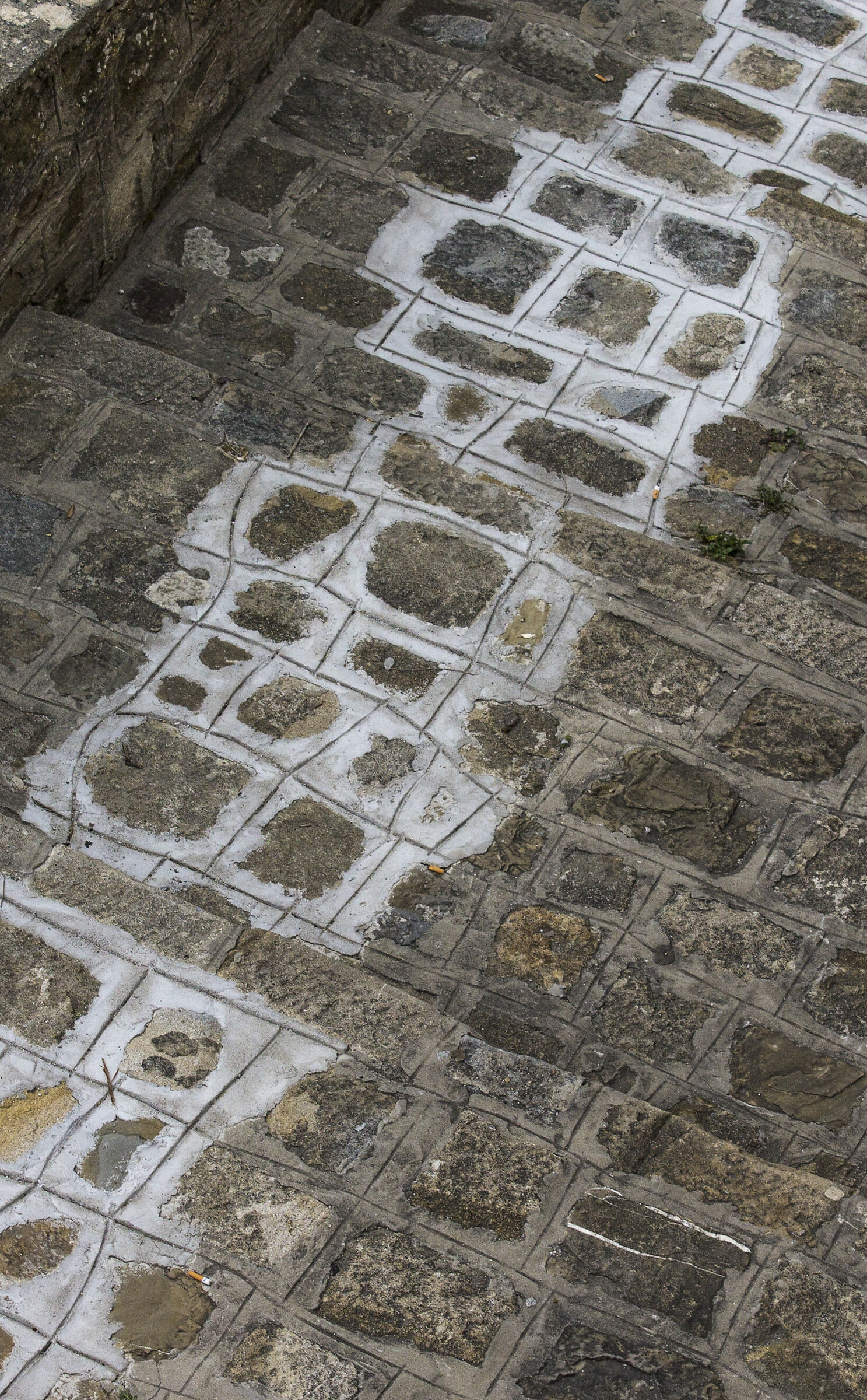 Ladders and lines...