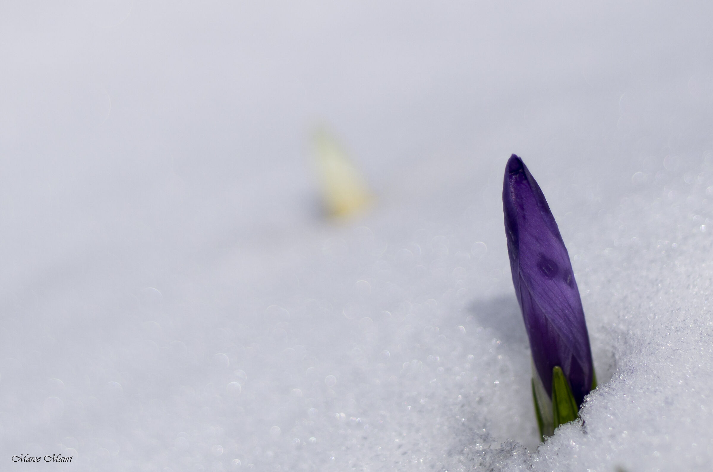 La forza della natura