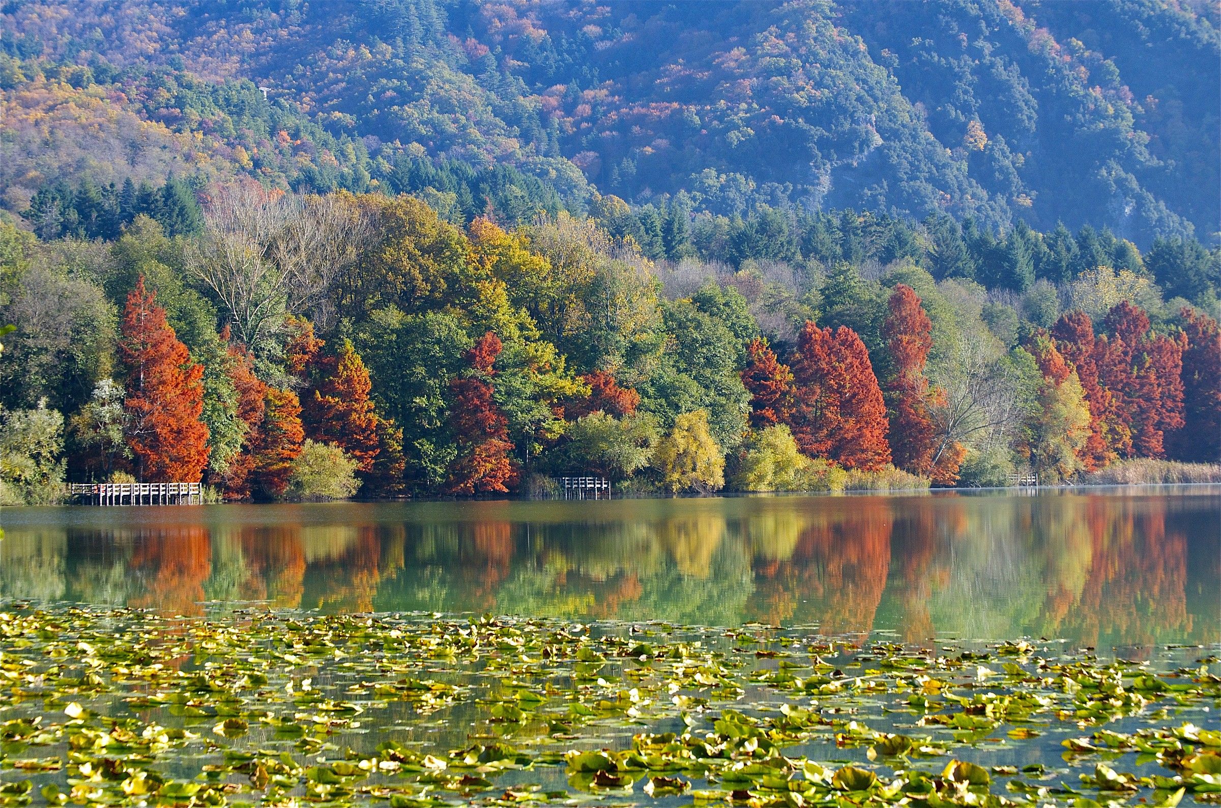 Great Lake Monticchio (pcs)
