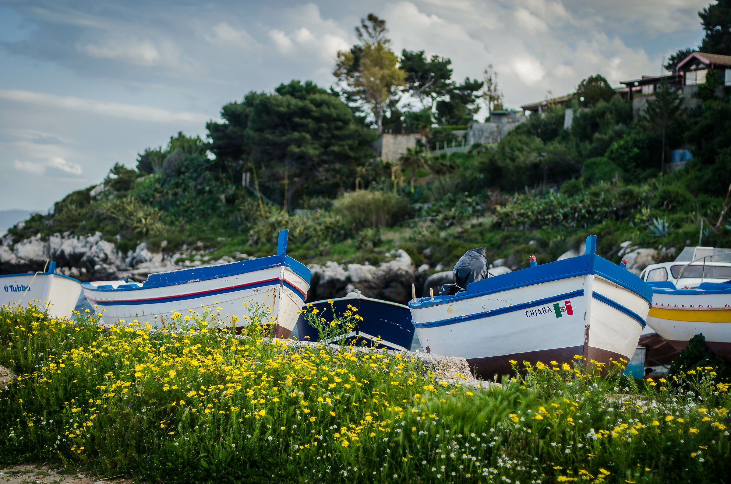 Fishermen's Remittance