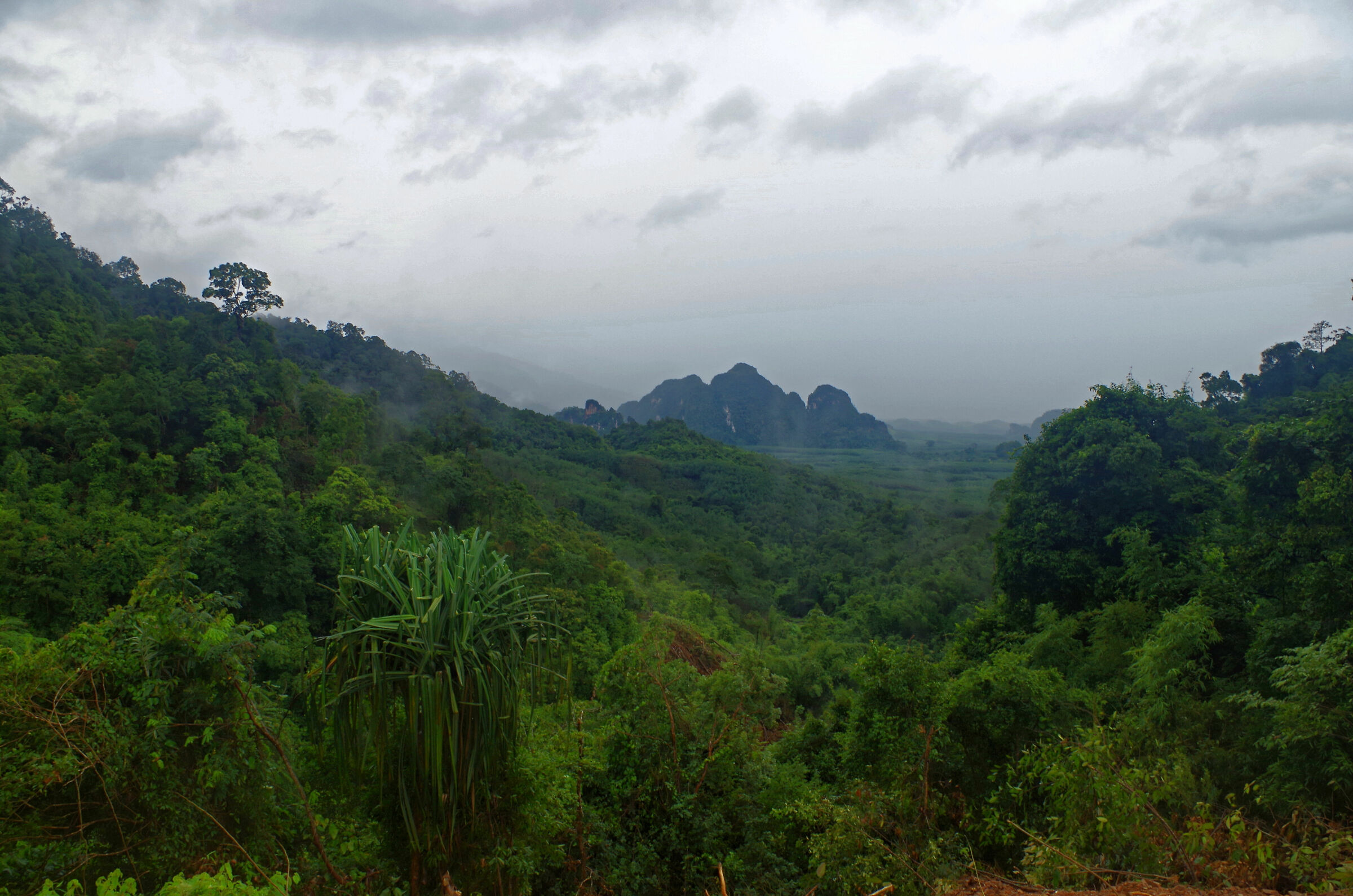 Parco nazionale di Khao Sok
