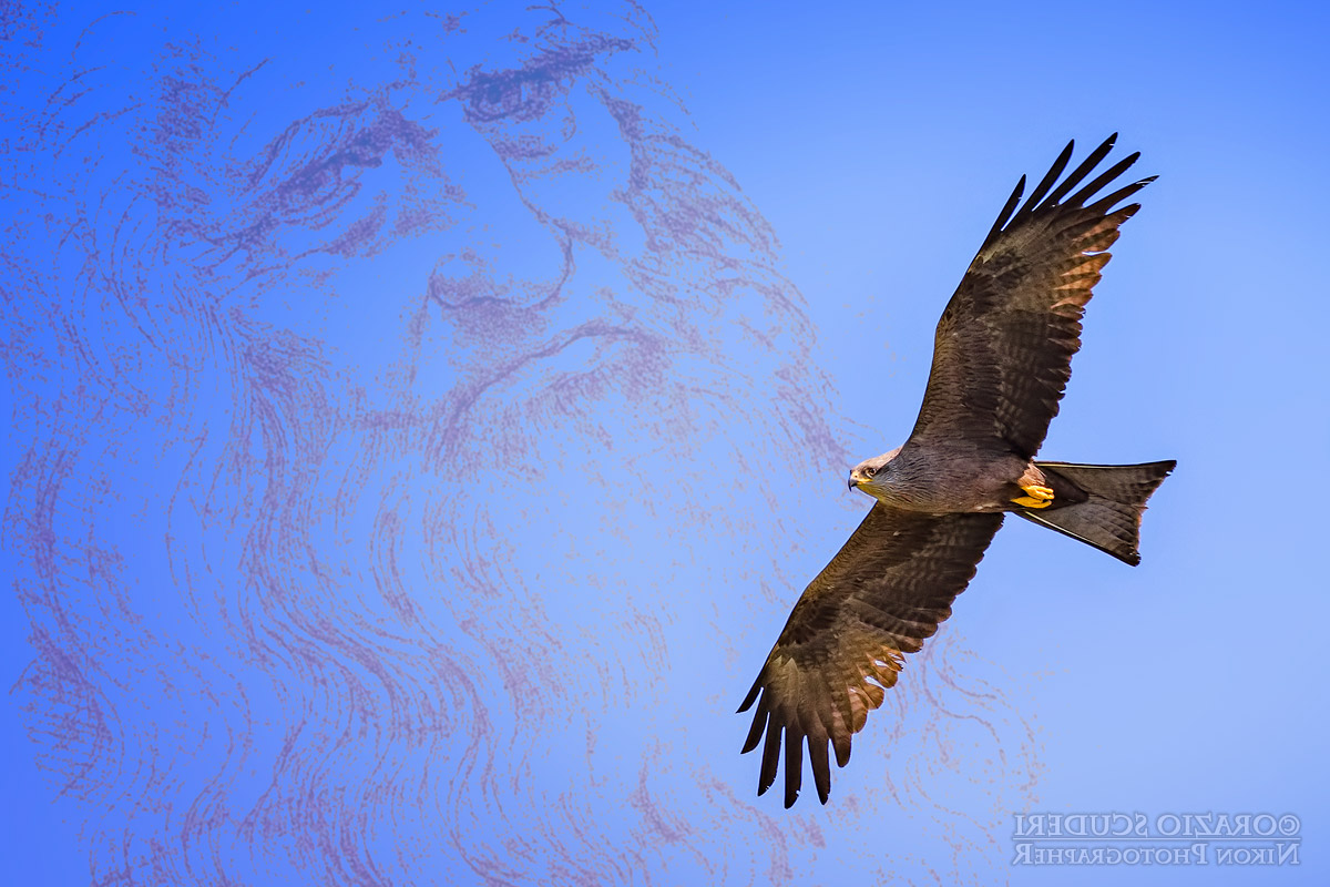 A Leonardo da Vinci...