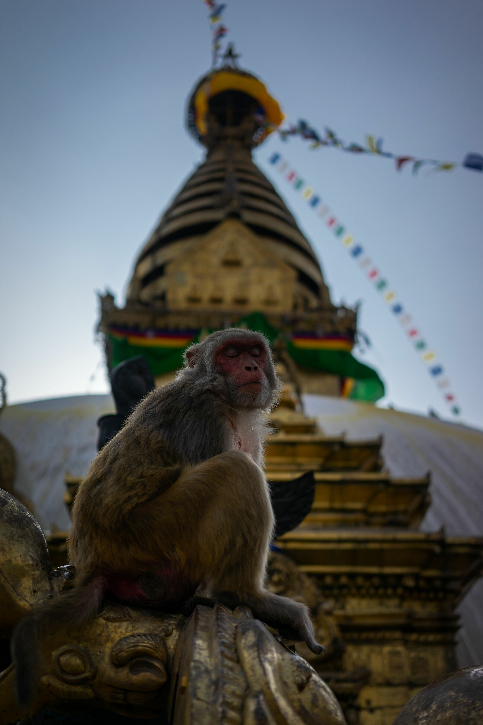 Swayambhunath - Tempio delle scimmie