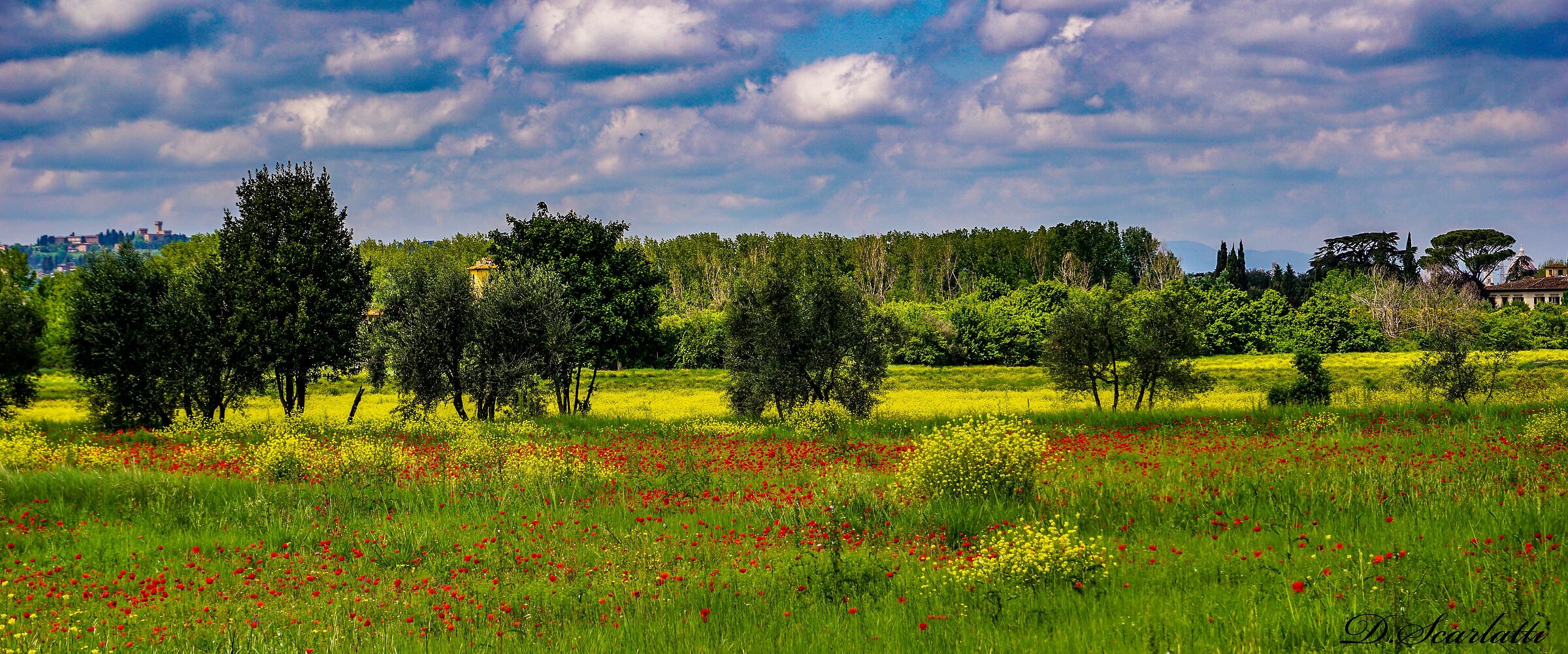 The beauty of spring Tuscany