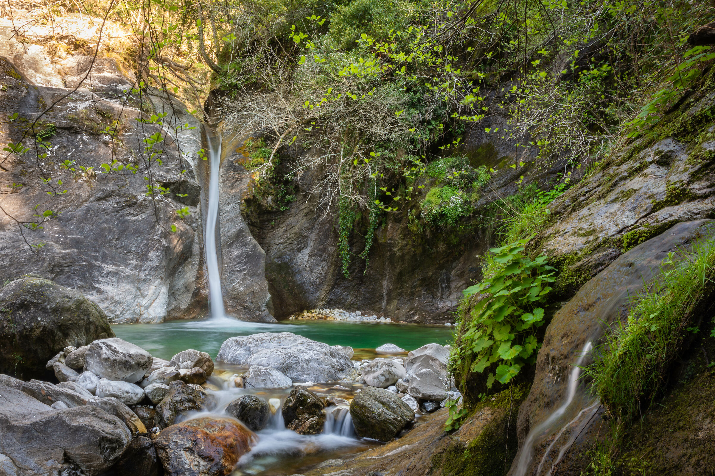 The Leap of Our Lady