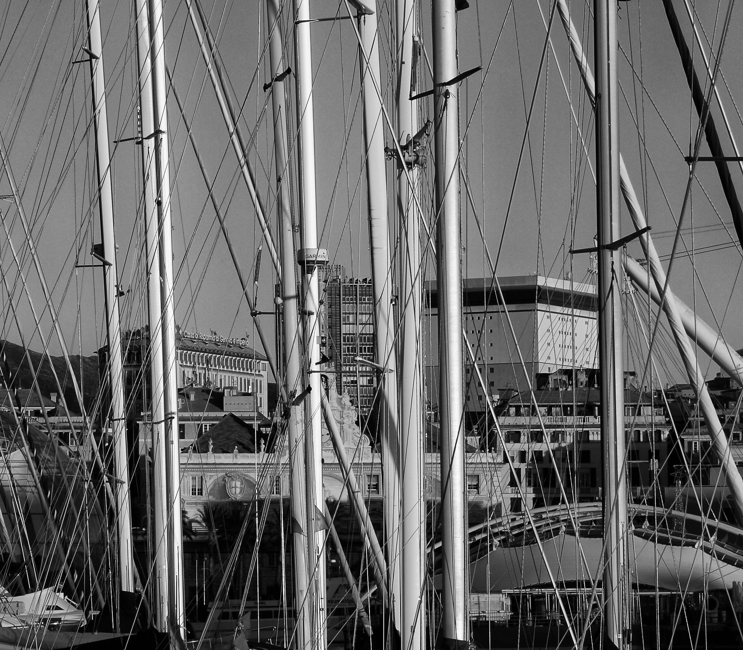 Porto di Genova - tramonto invernale BW