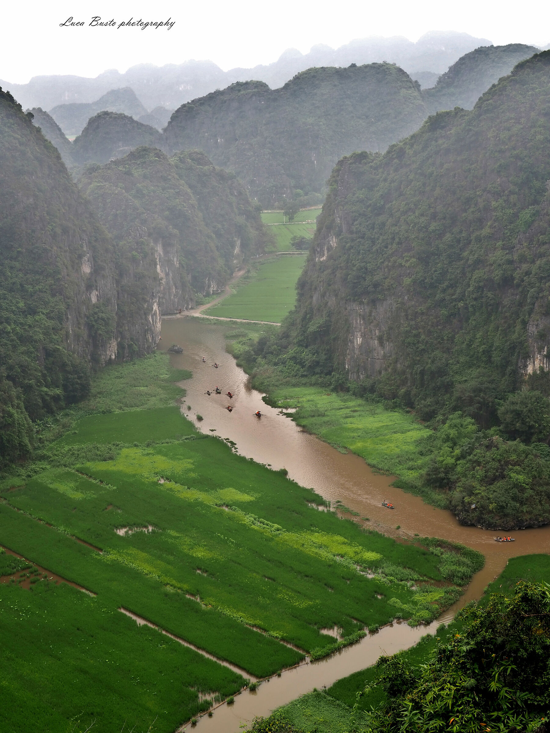 Hoa Luc - TAM COC Vietnam