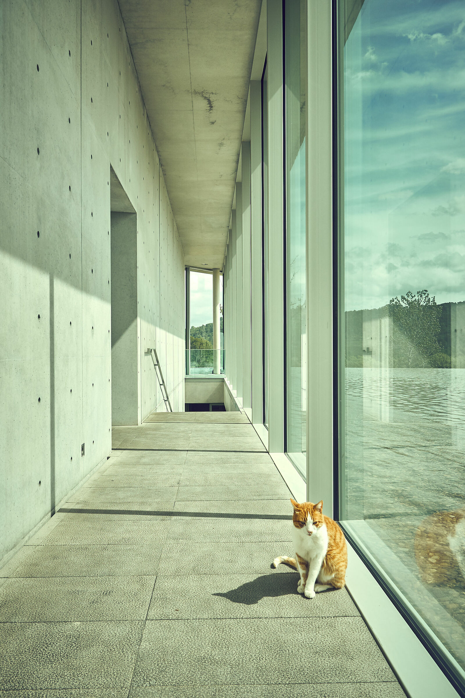 Tadao Ando Art Centre-the Chateau la Coste