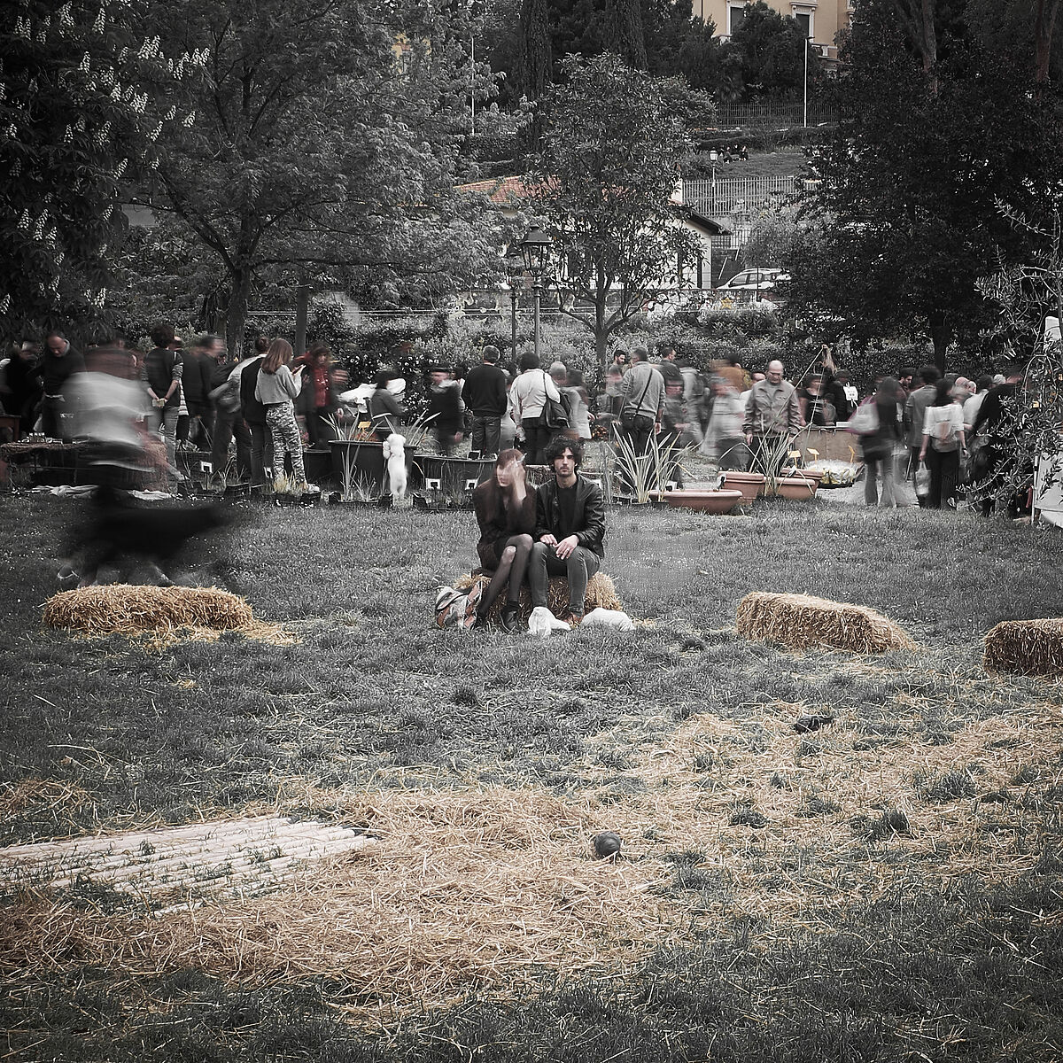 But... What did I say?   O_o