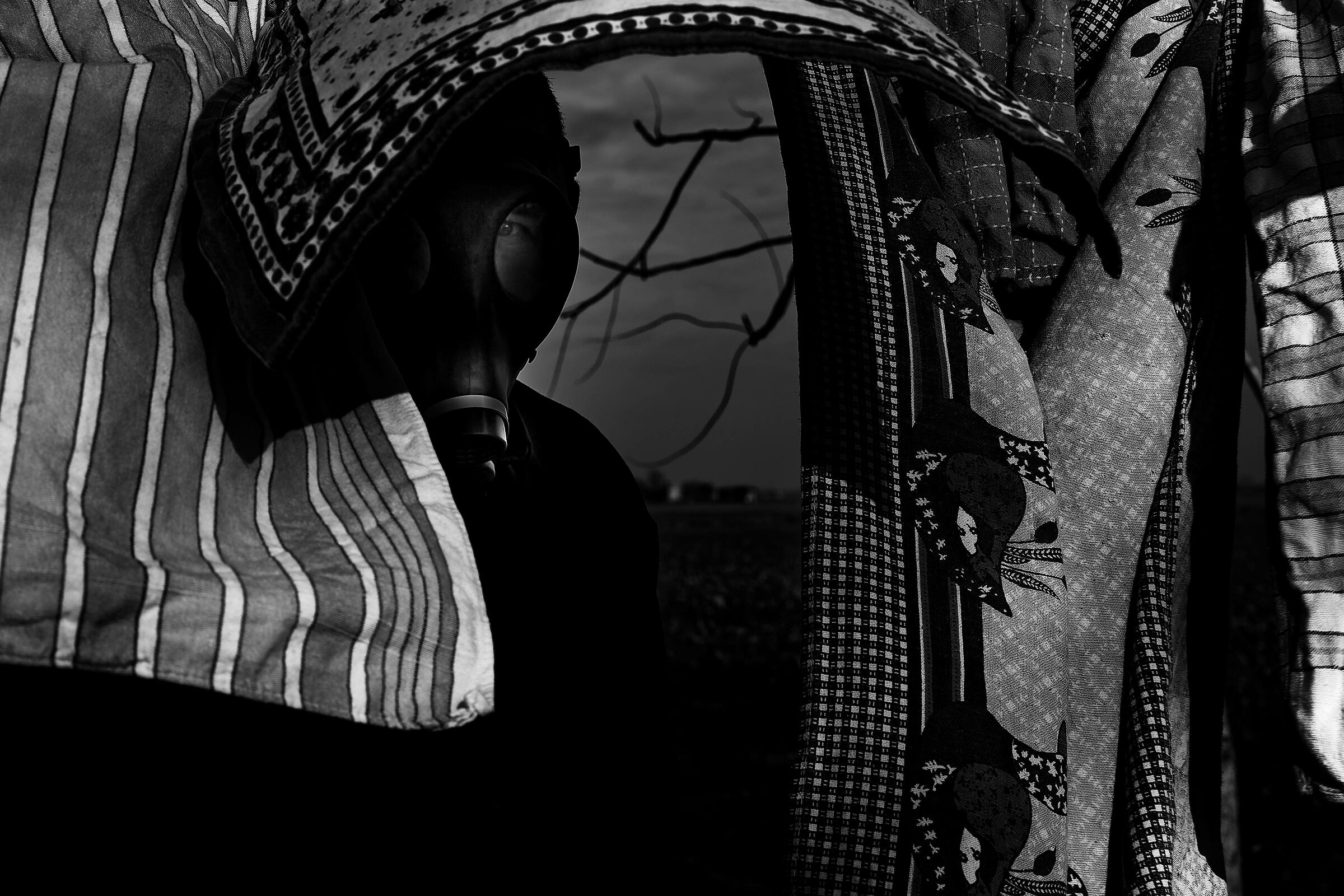 New world 2/8 series