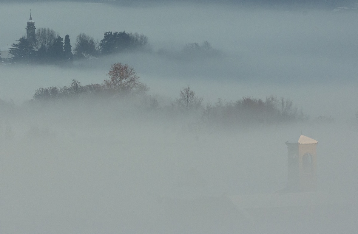 under the fog????????? - Mystery and life.