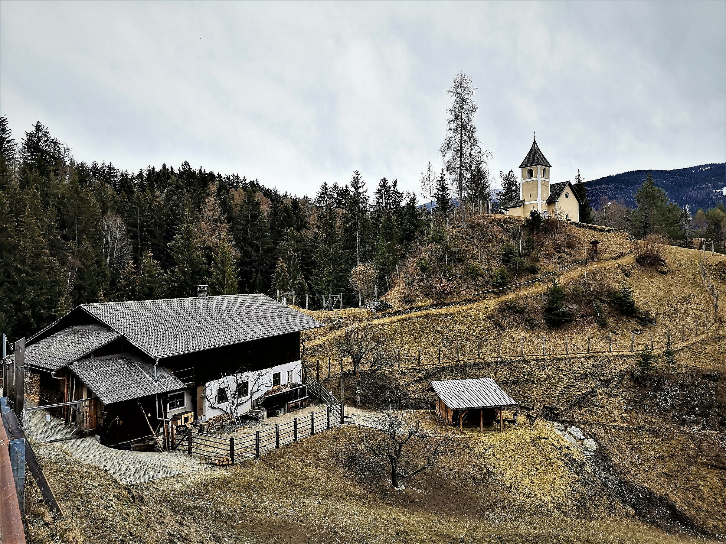 Alto Adige by Nail.....