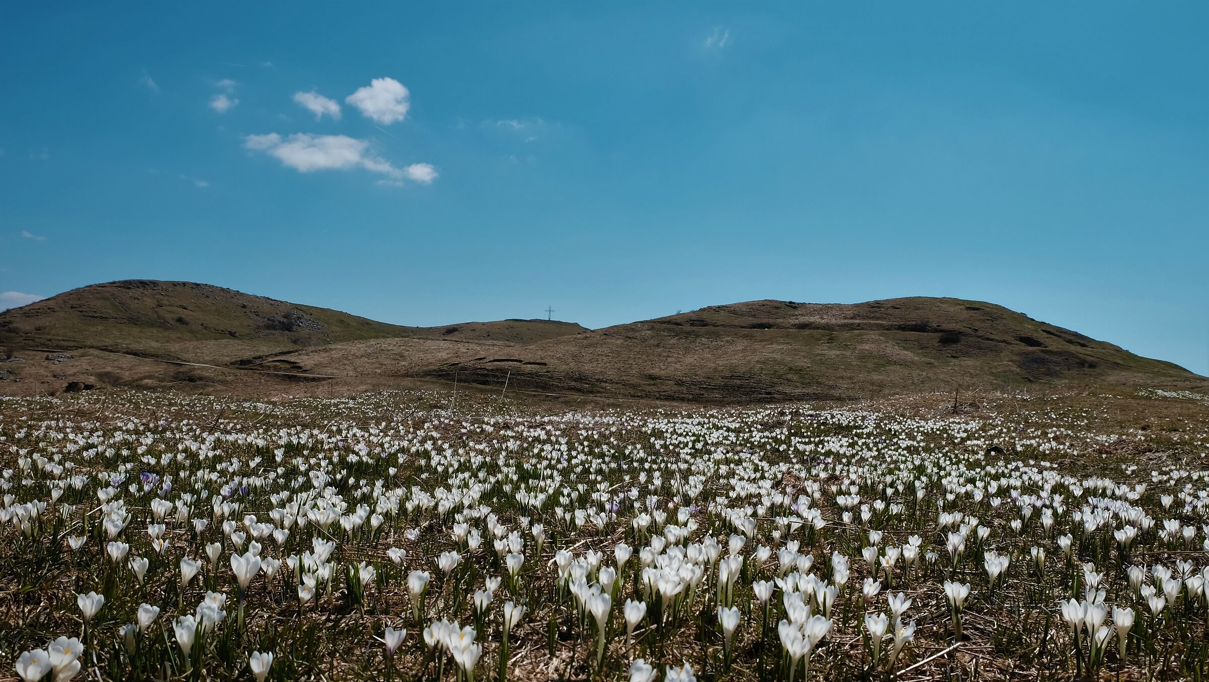 Can of the field over Schio