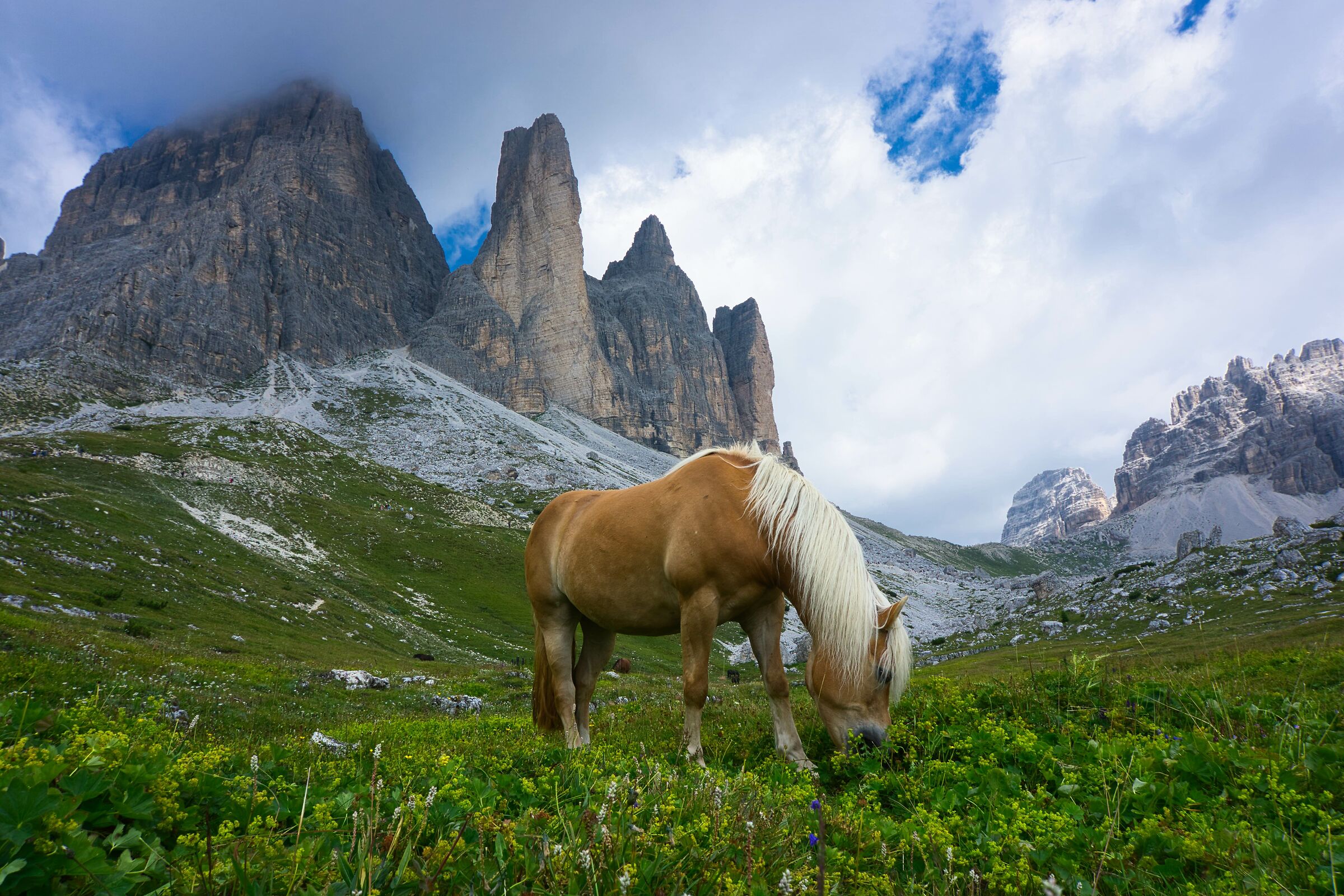 Three Peaks on horseback