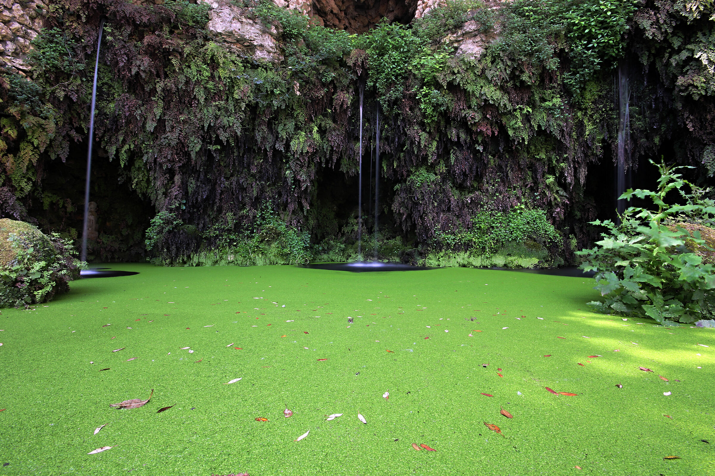 The fountain of the flood-Villa Lante in Bagnaia