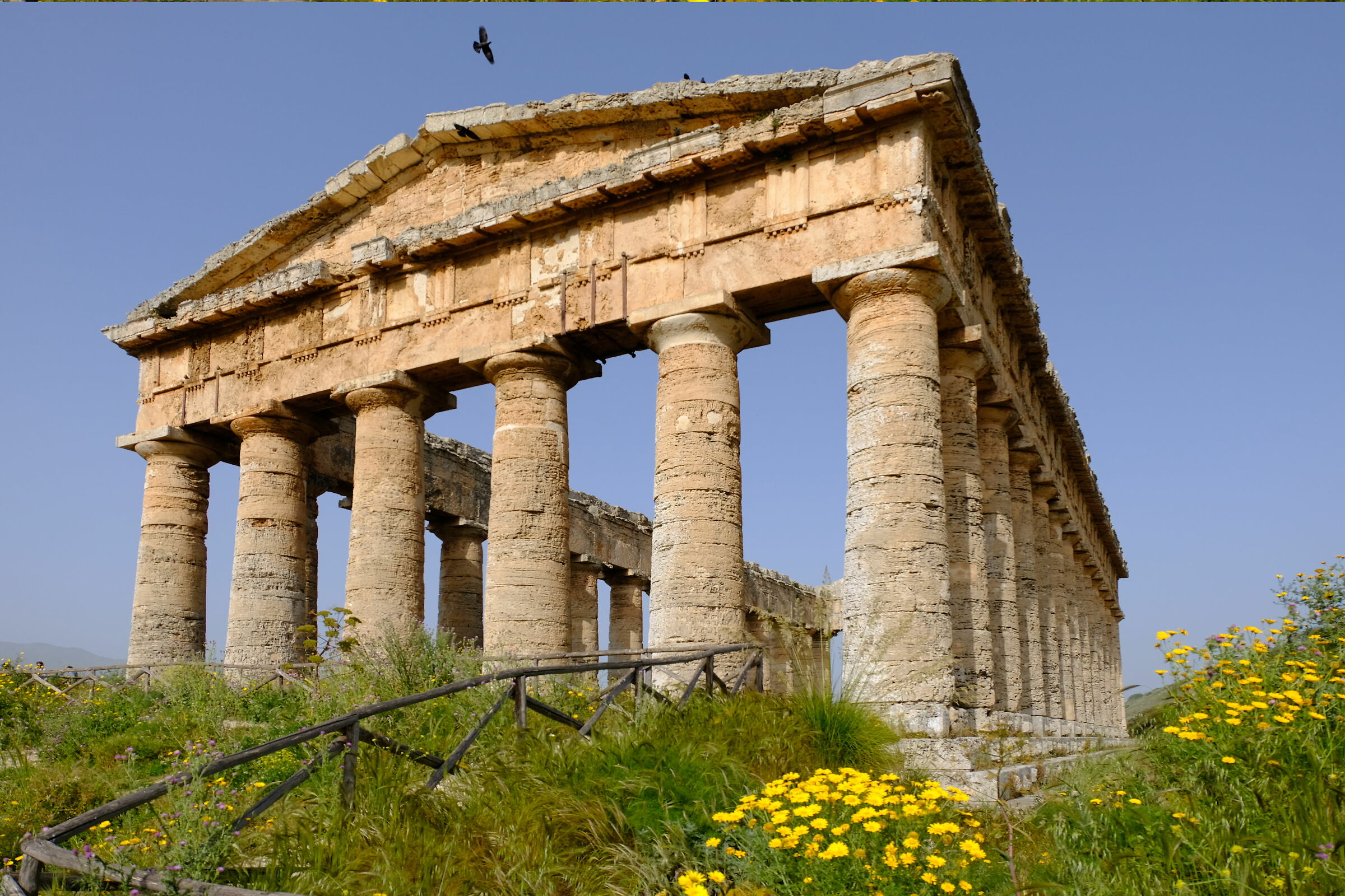 Temple of Segesta