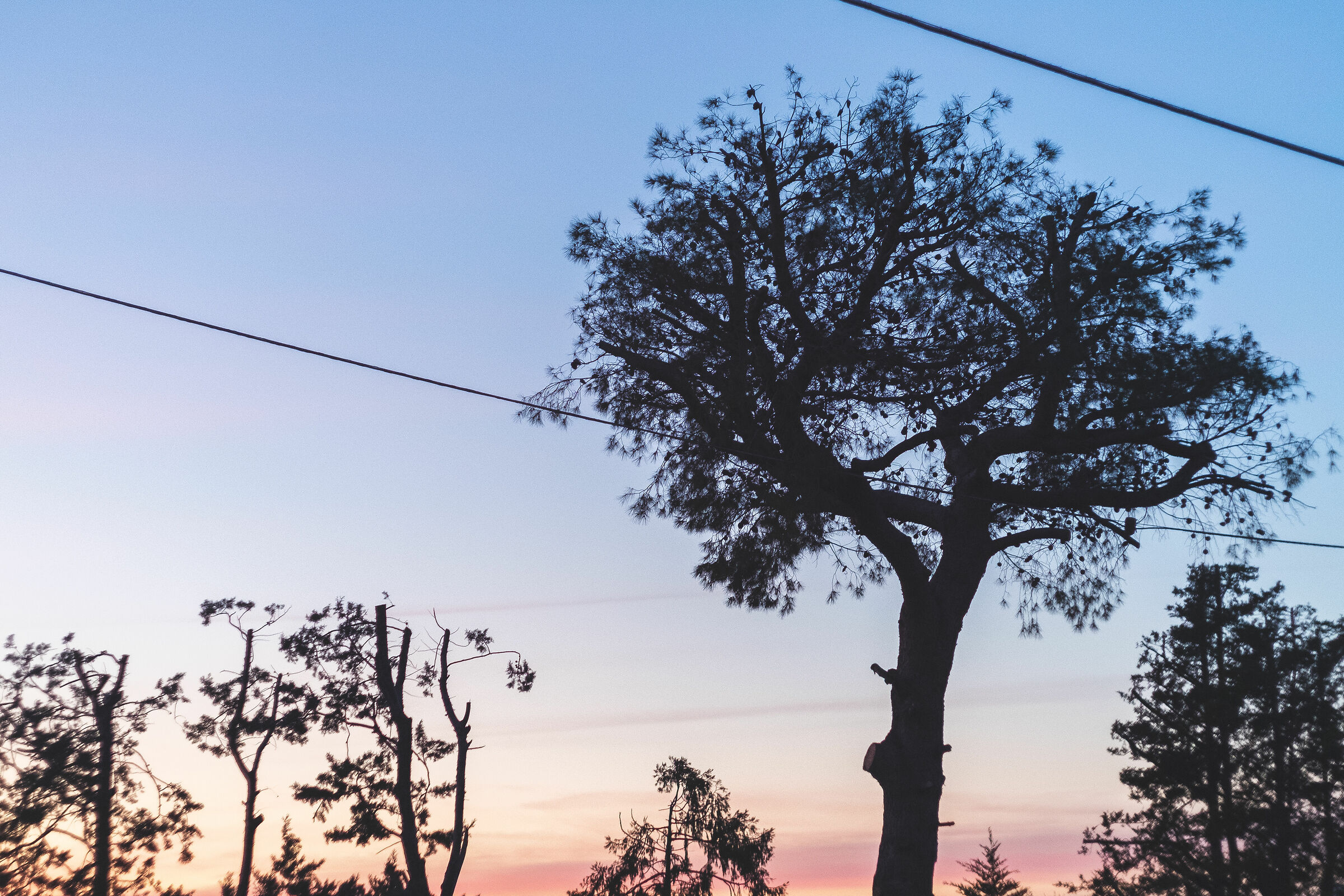 Valenzano Test Fujifilm x-e3