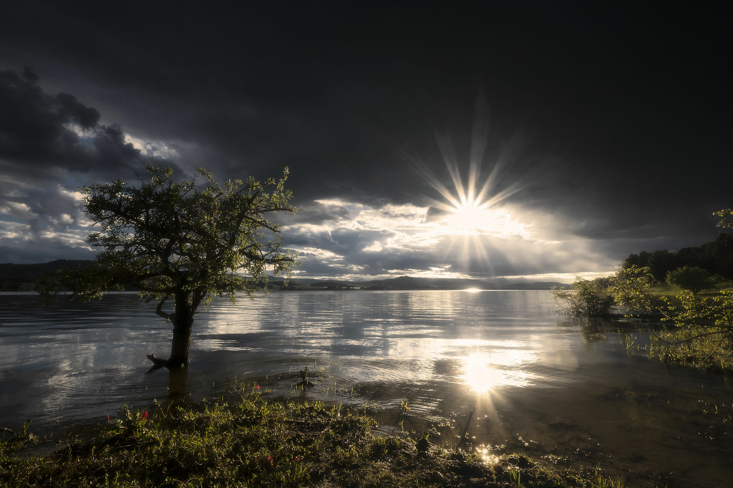 The light on the lake