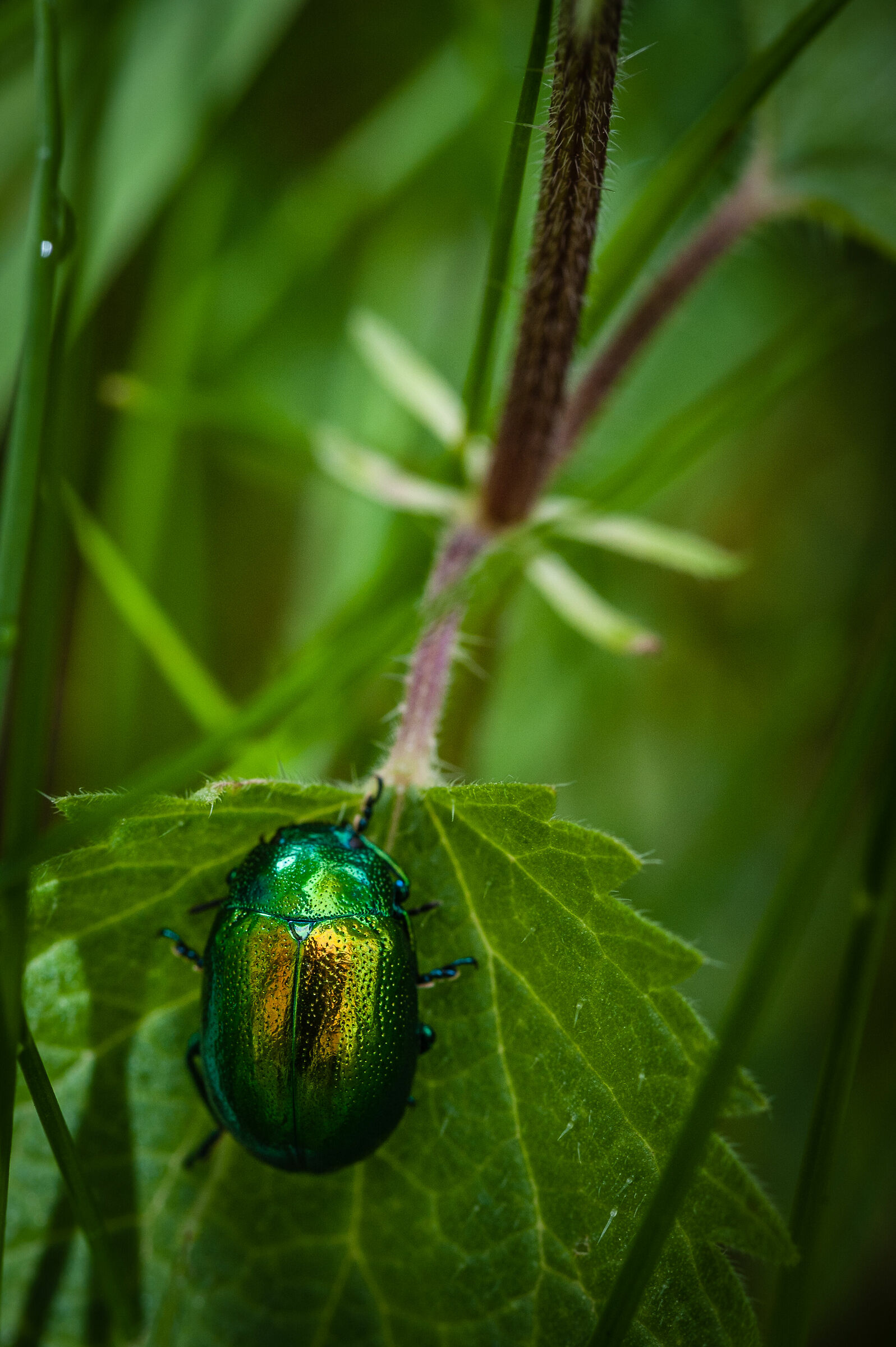 Free solo climbing...