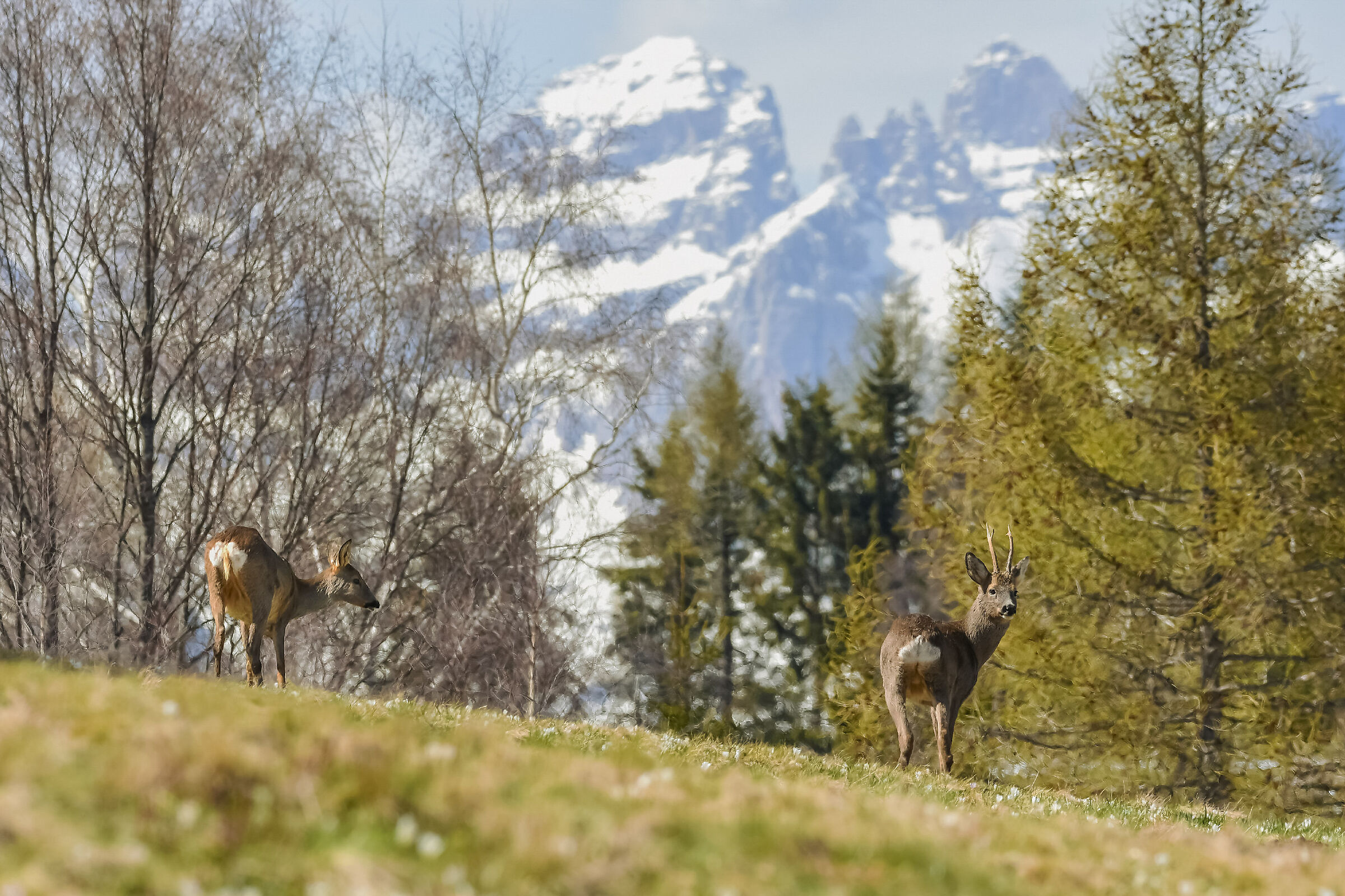 Il primo giorno di primavera