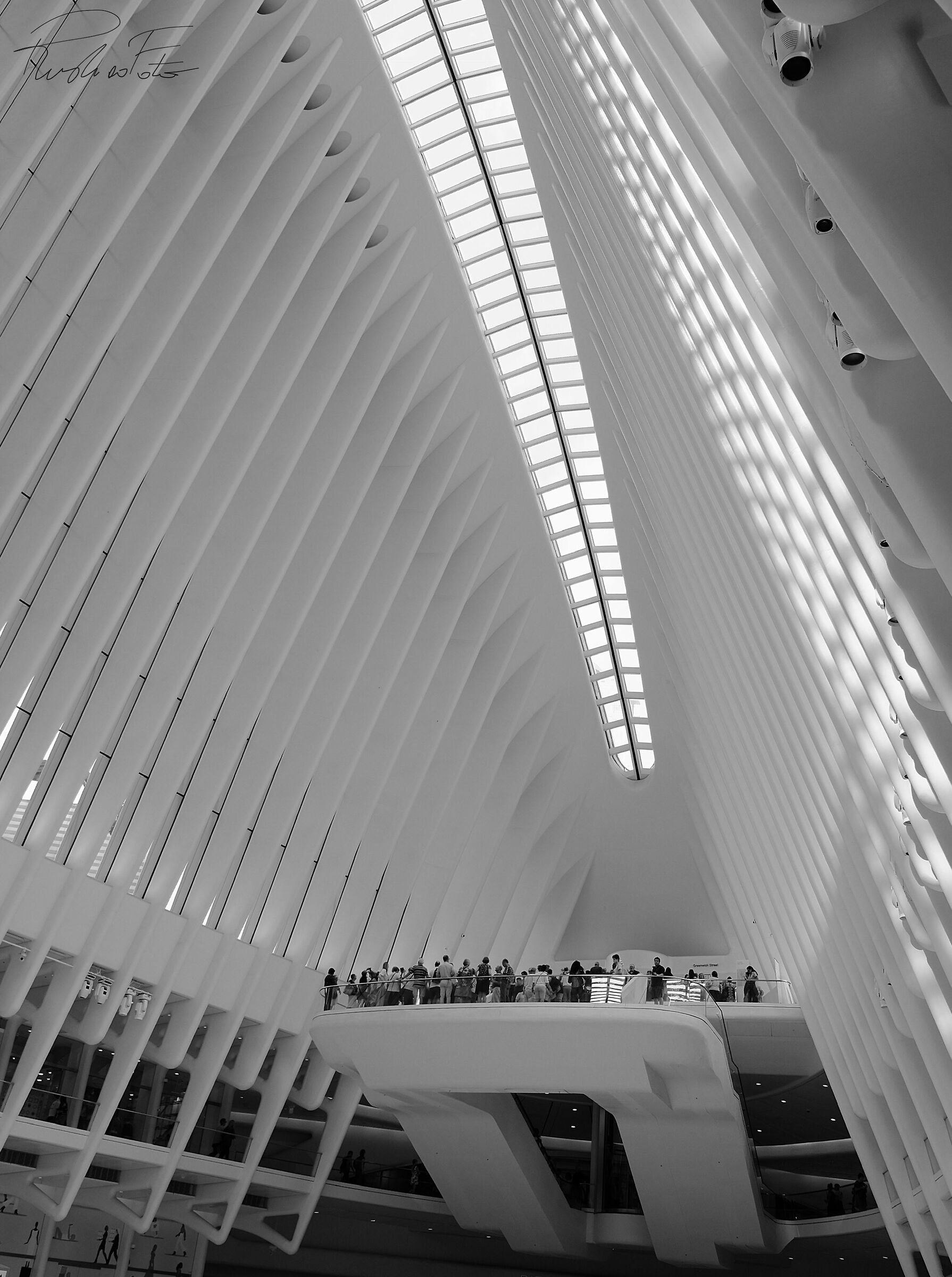 The Oculus