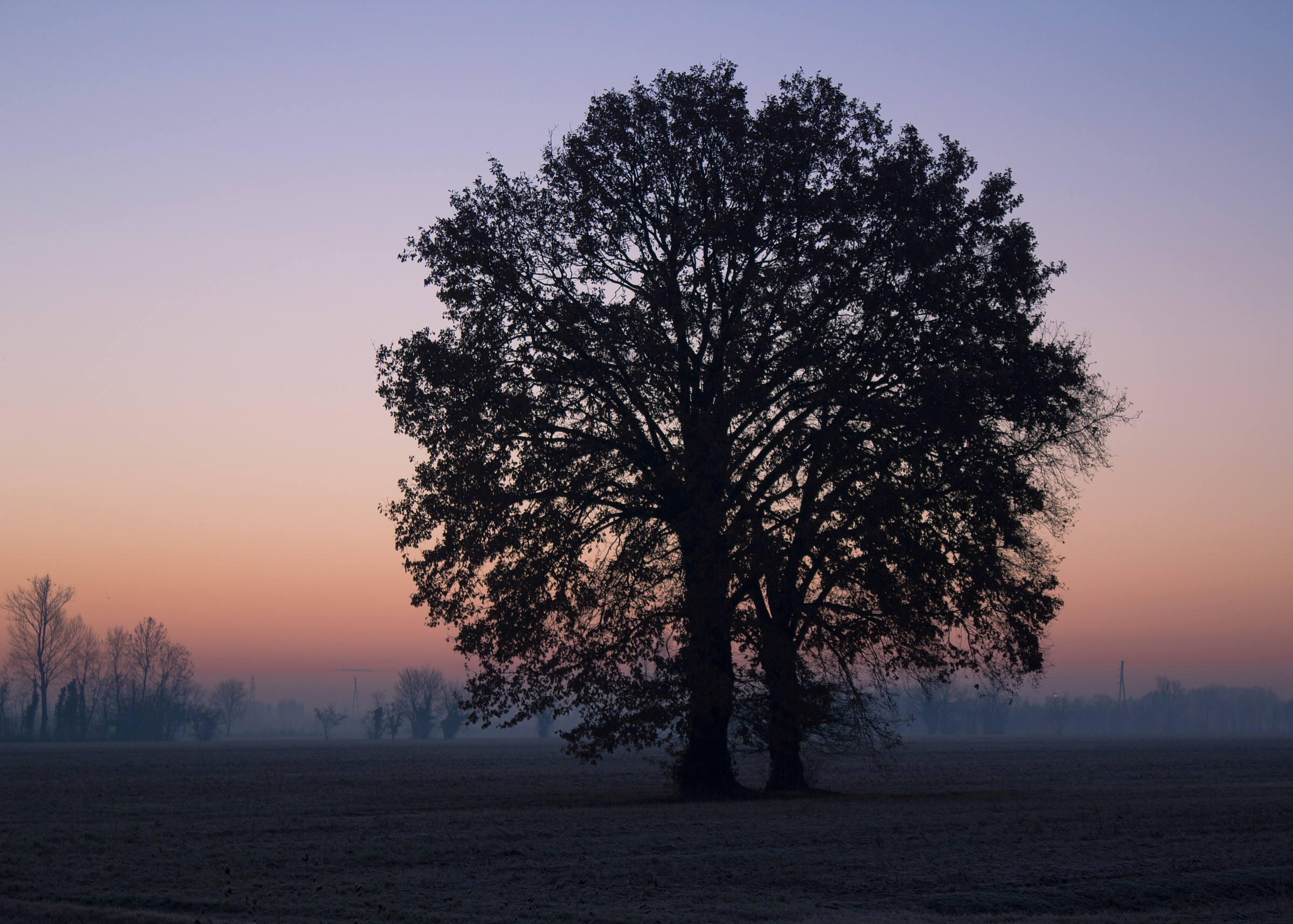 Dawn of the Veneto countryside