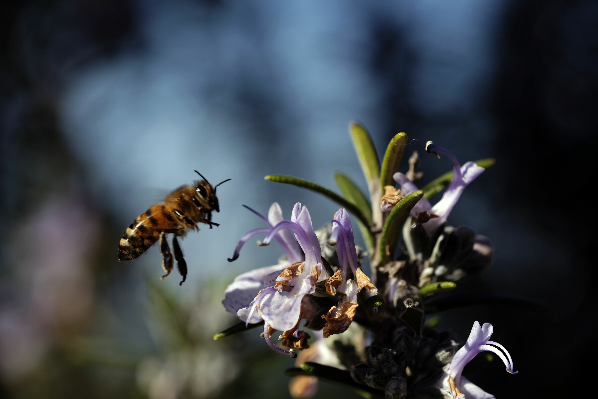 Preparing for landing