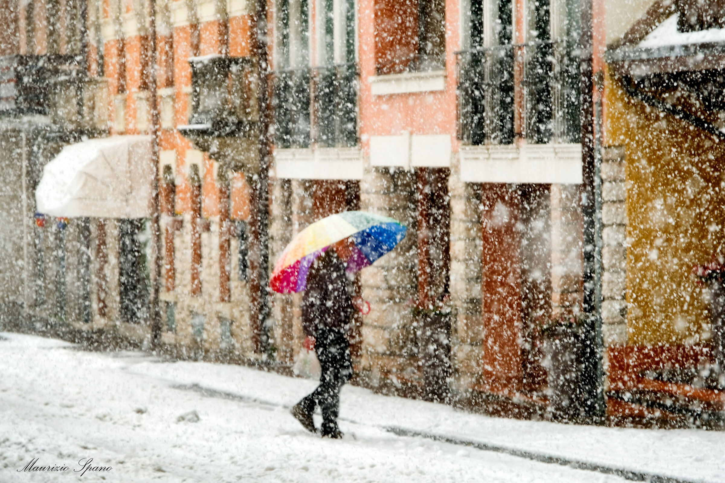 Anche tra la neve, c'è spazio per i colori...