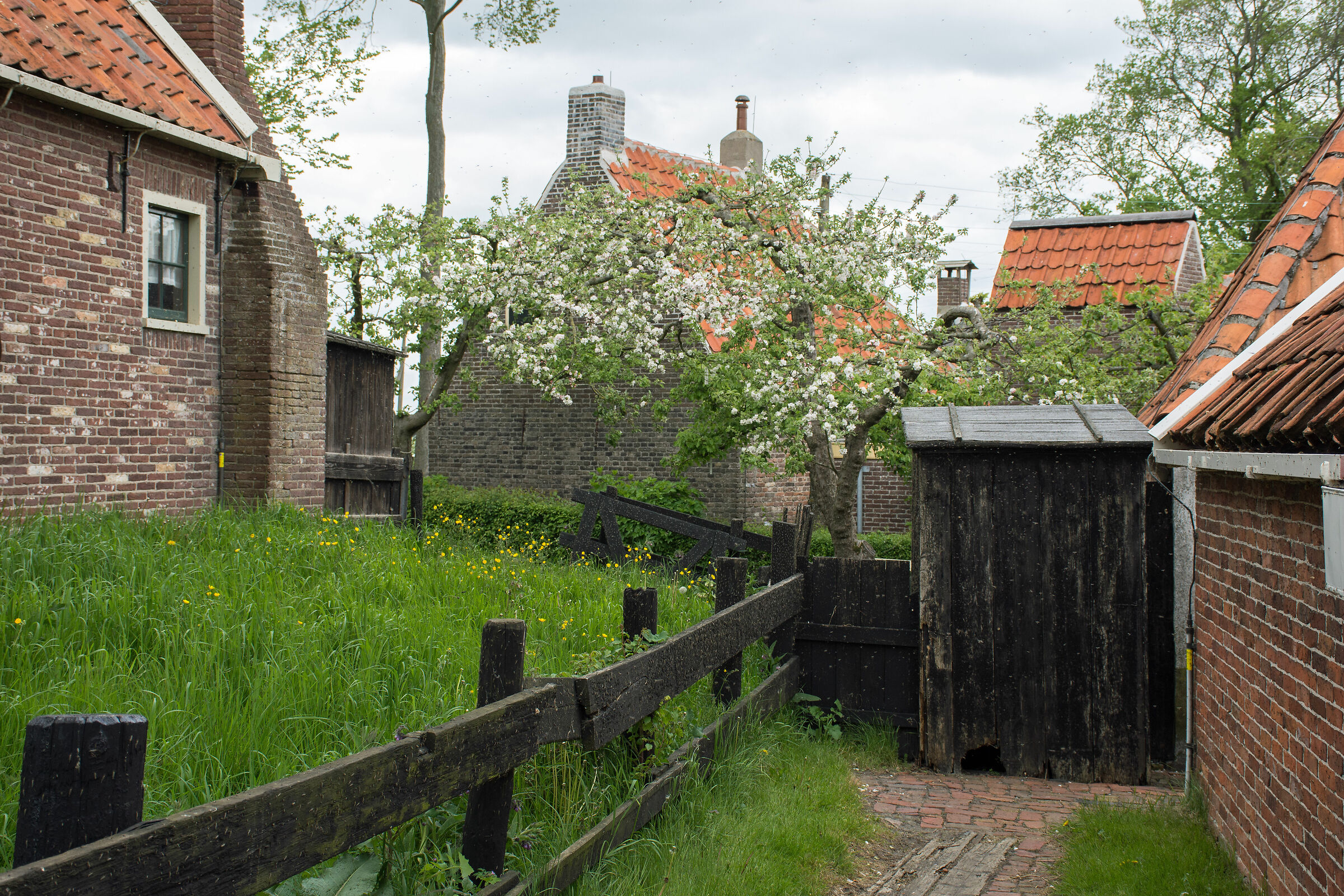 Enkhuizen Noord Holland